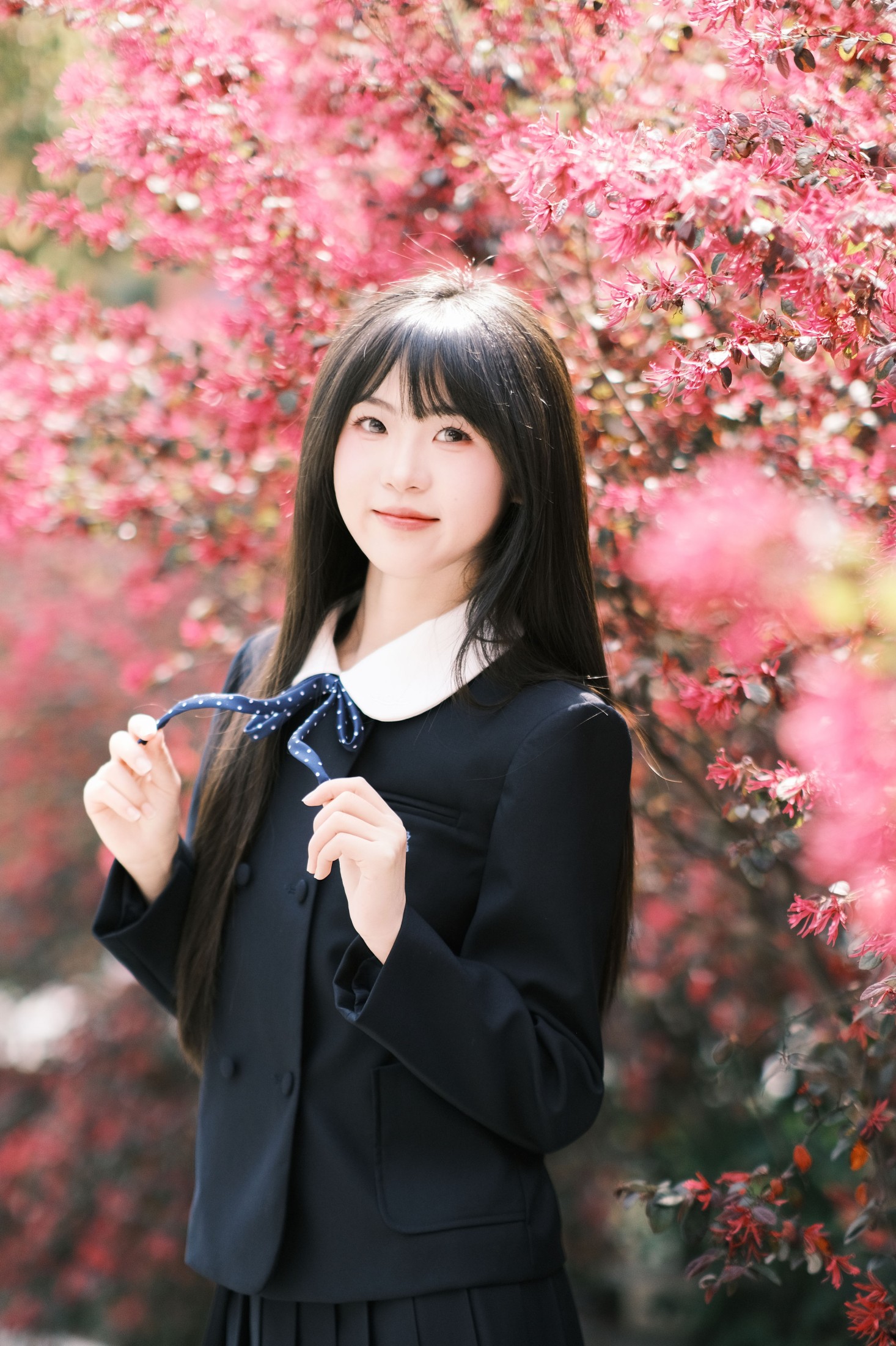 10 – 《想不到吧路边绿化的红继木拍出来这么好看》[18P] 插图4