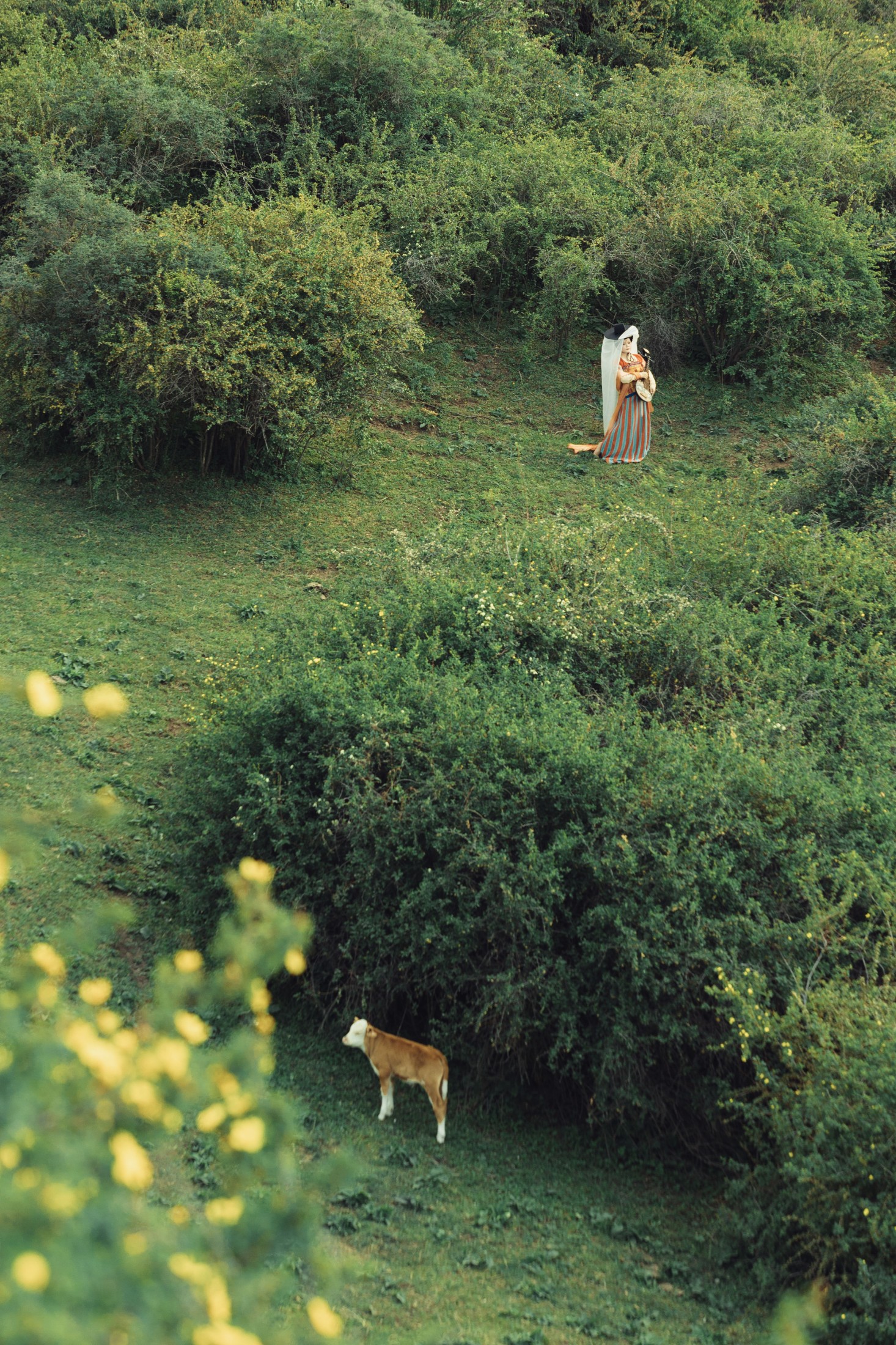 咕咕咕 – 《山野之间》[30P] 插图3