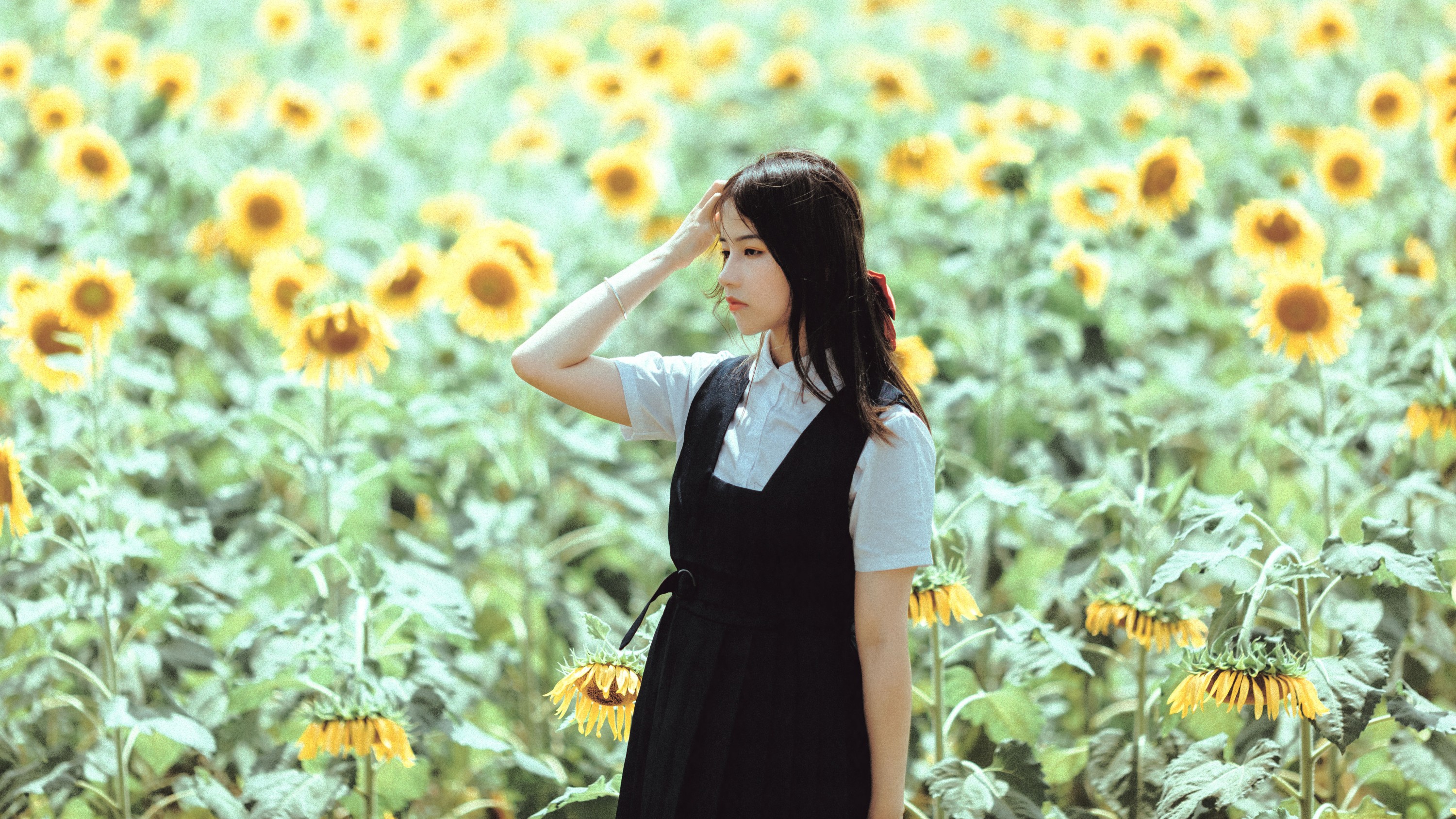 薇薇 – 《夏天的太阳花》[17P]-66COS