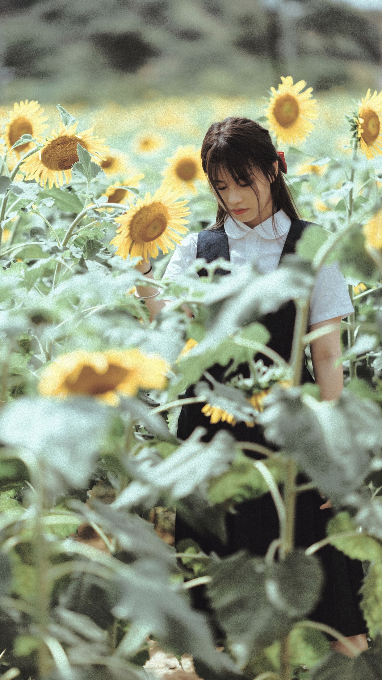 薇薇 – 《夏天的太阳花》[17P] 插图4