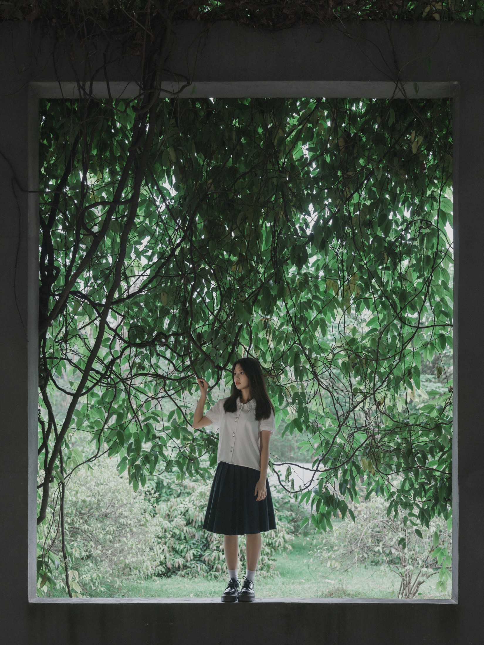 47 – 《梦游仙境》[46P] 插图5