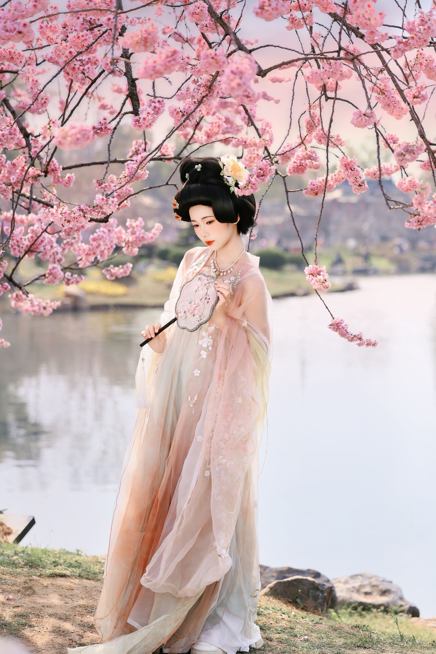 沸腾的米粥 – 《樱花梦》[23P] 插图3