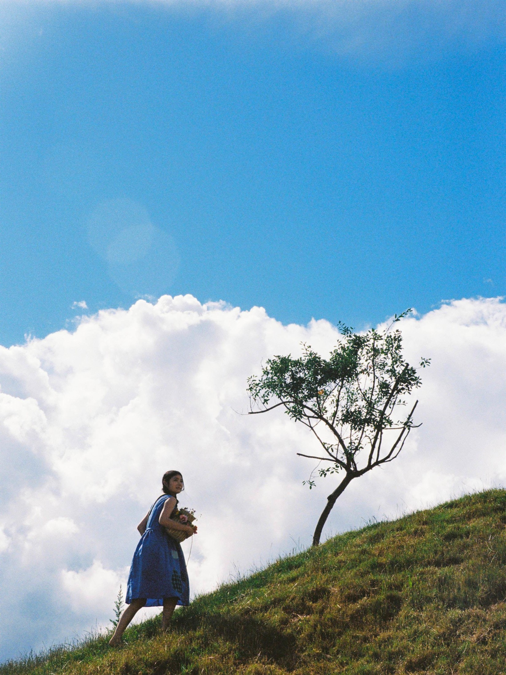 在长野晒月亮的油松 – 《自由的大地》[14P] 插图2