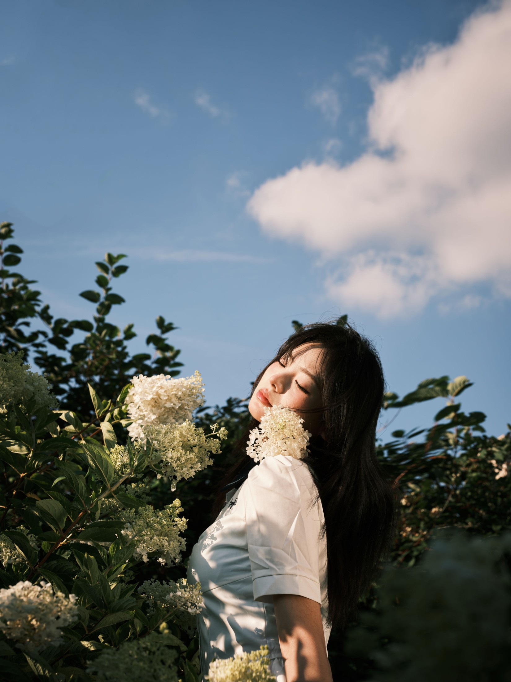 炸洋芋 – 《绣球花》[13P]-66COS
