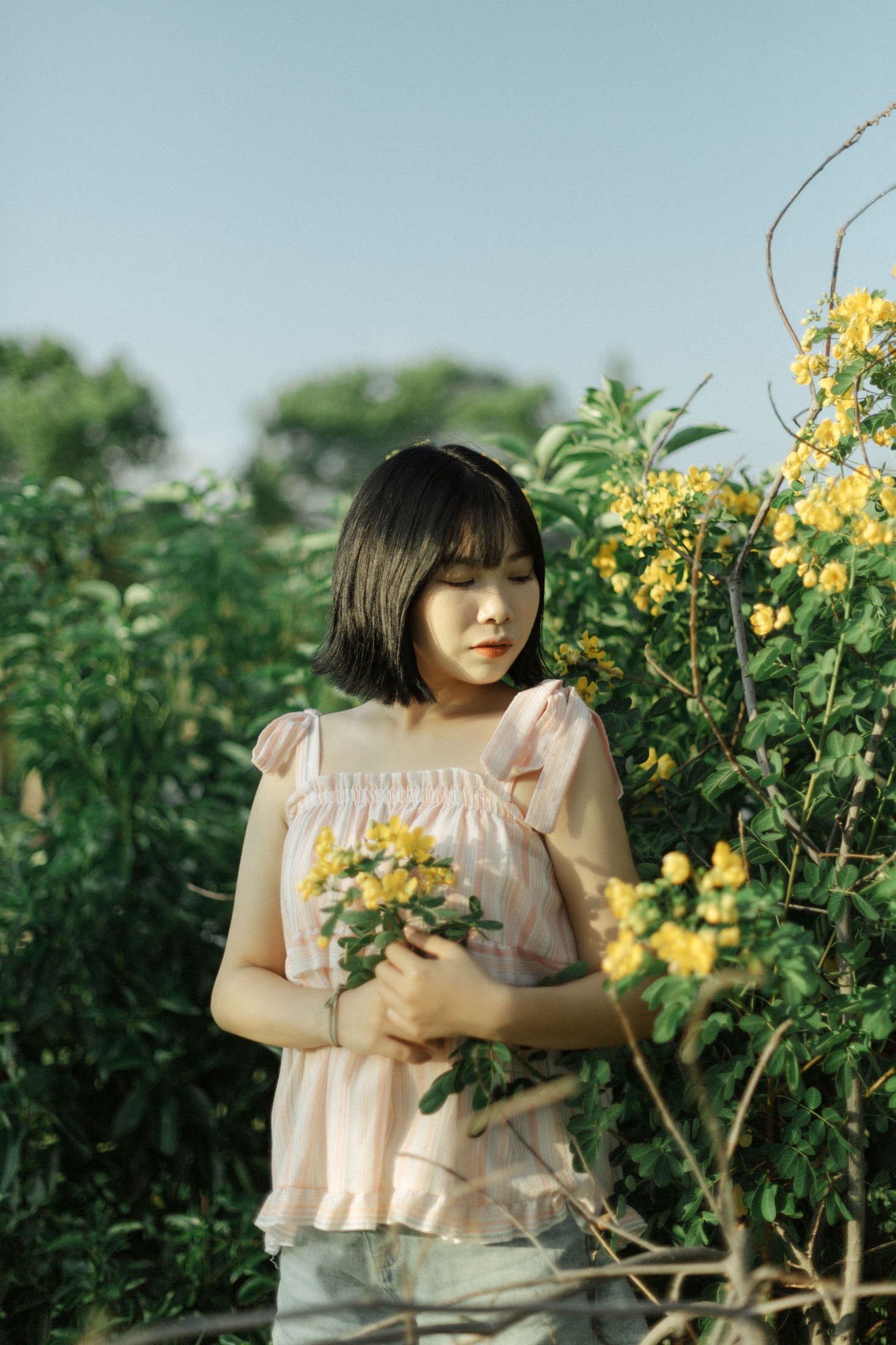 Y～ – 《风是自由的》[20P] 插图4