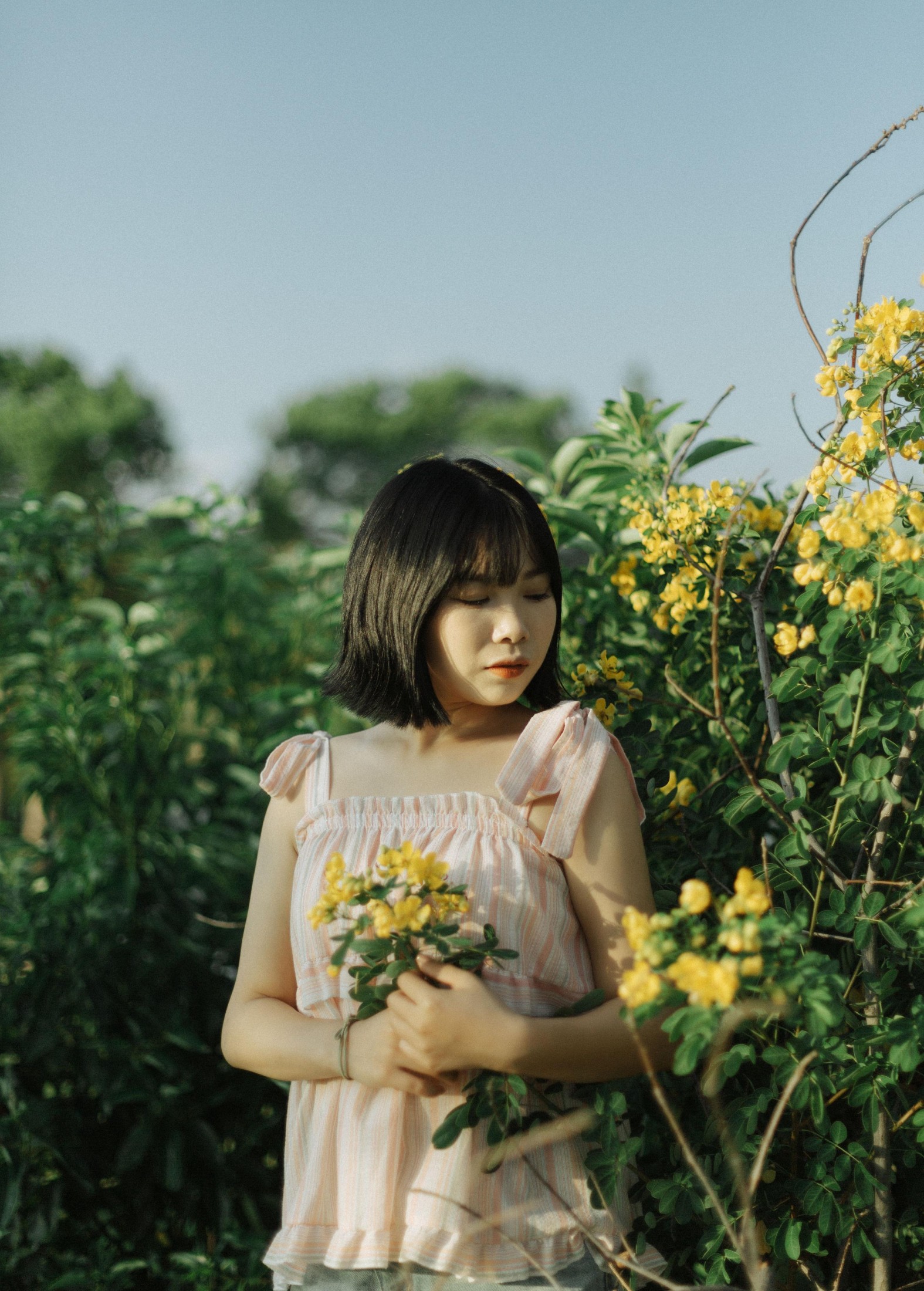 Y～ – 《风是自由的》[20P] 插图2