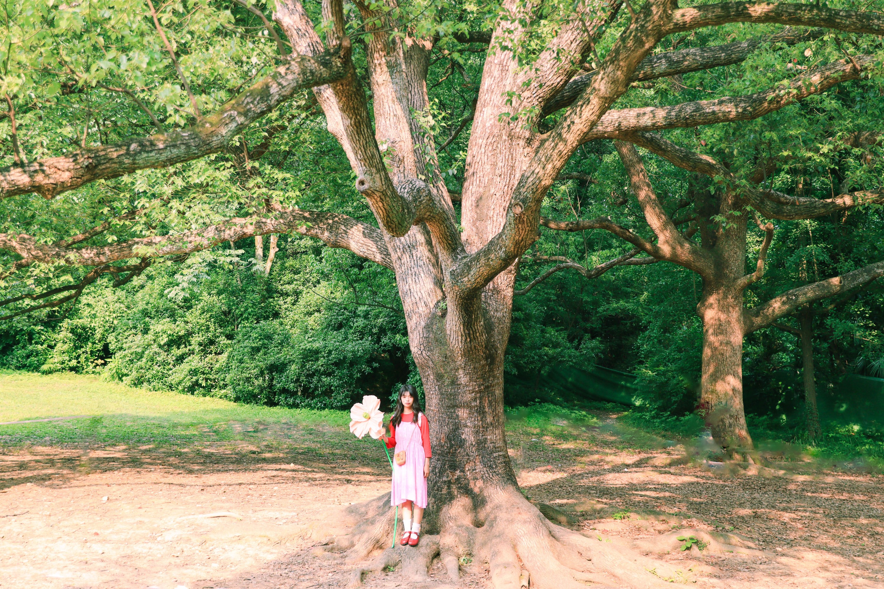 婠婍 – 《森林小精灵》[17P] 插图3