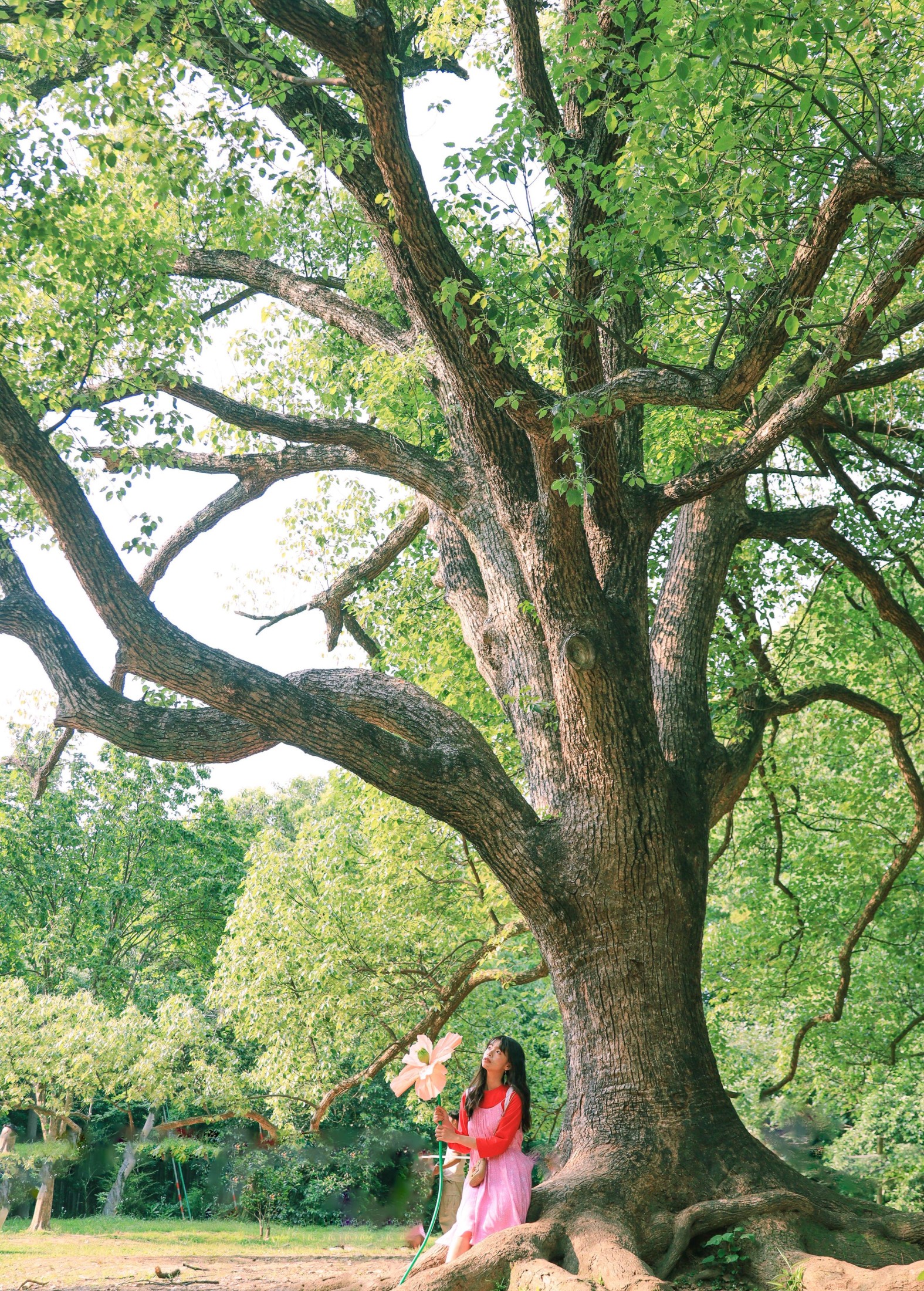 婠婍 – 《森林小精灵》[17P] 插图2