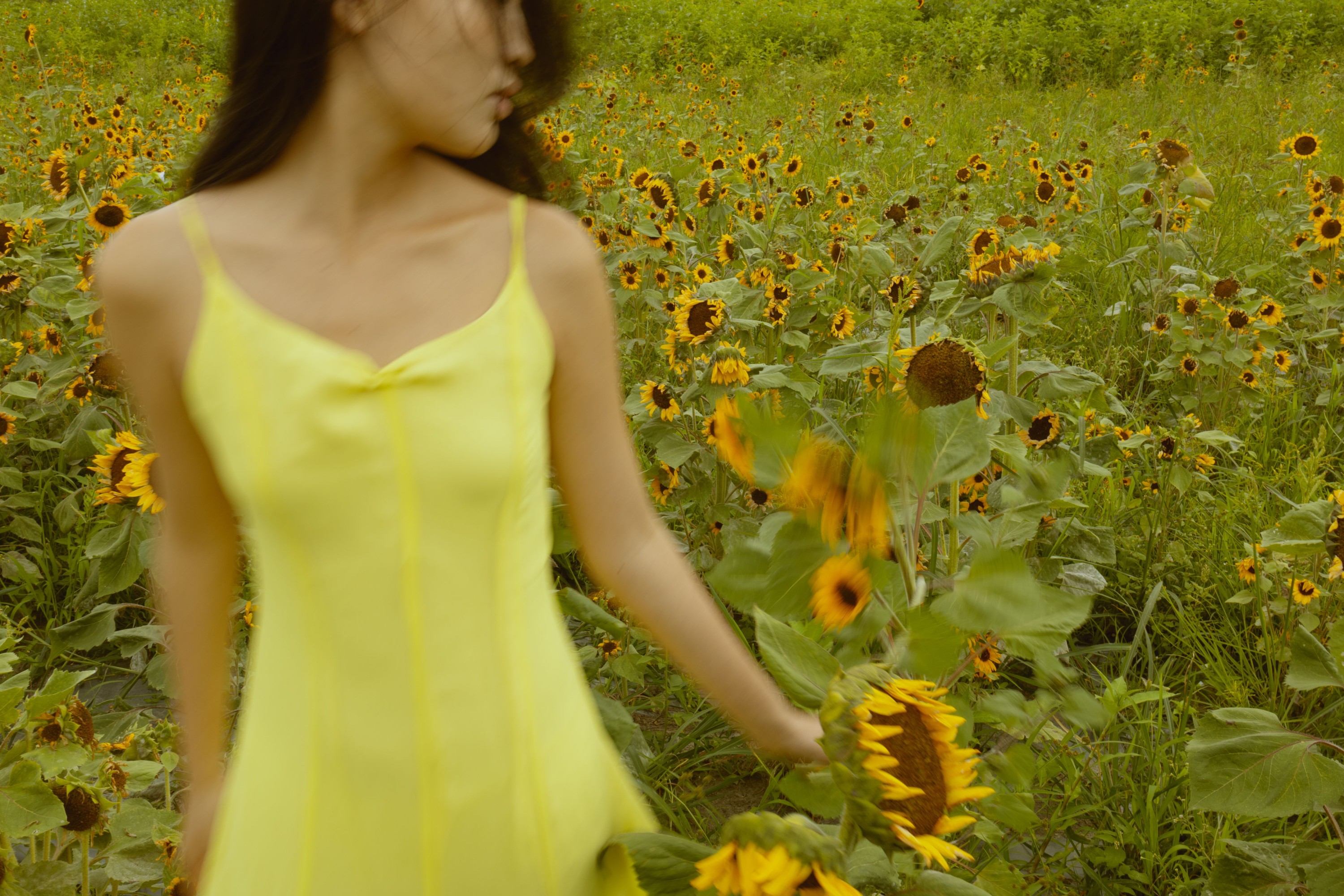 兔子 – 《我与大理｜花海》[14P] 插图5