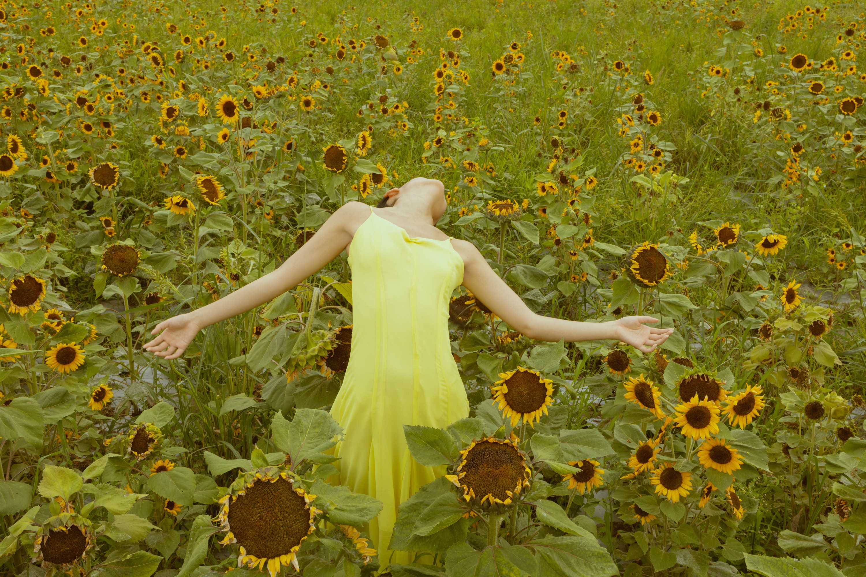 兔子 – 《我与大理｜花海》[14P] 插图4