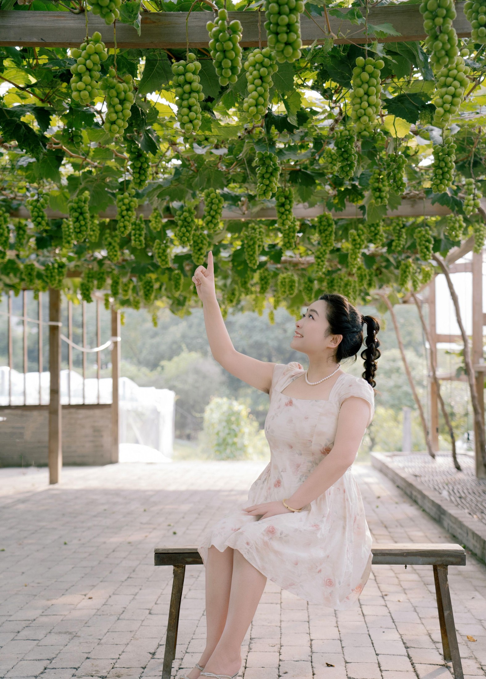 菌菌 – 《青提之夏》[16P] 插图2