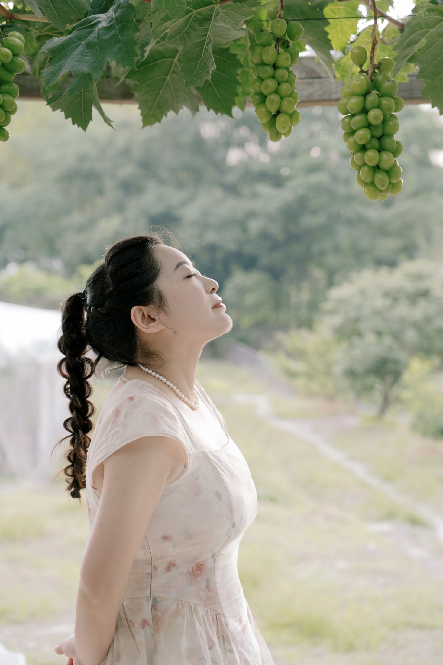 菌菌 – 《青提之夏》[16P]-66COS