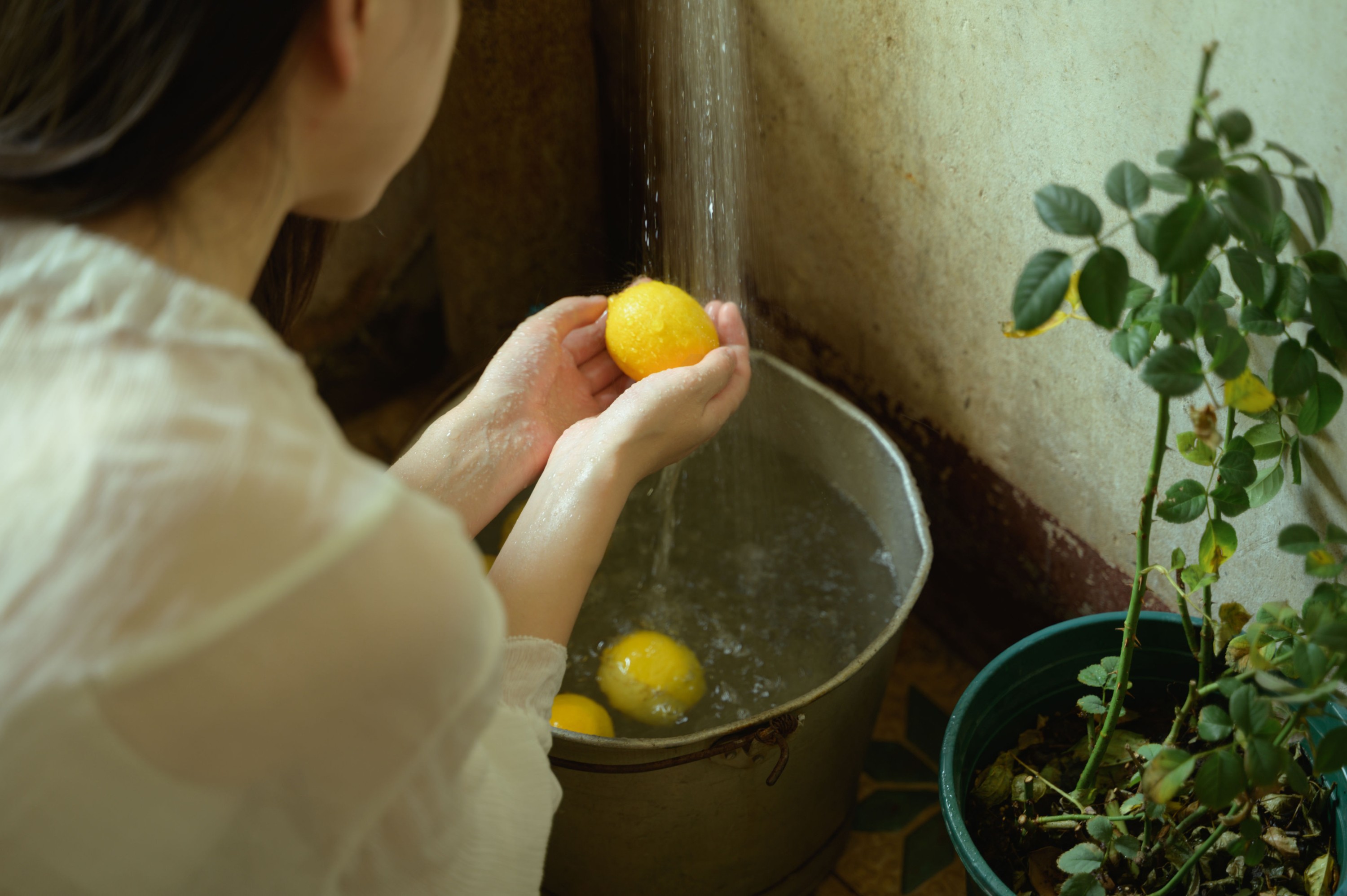 阿梦的虎牙 – 《夏天的尾巴》[35P]-66COS