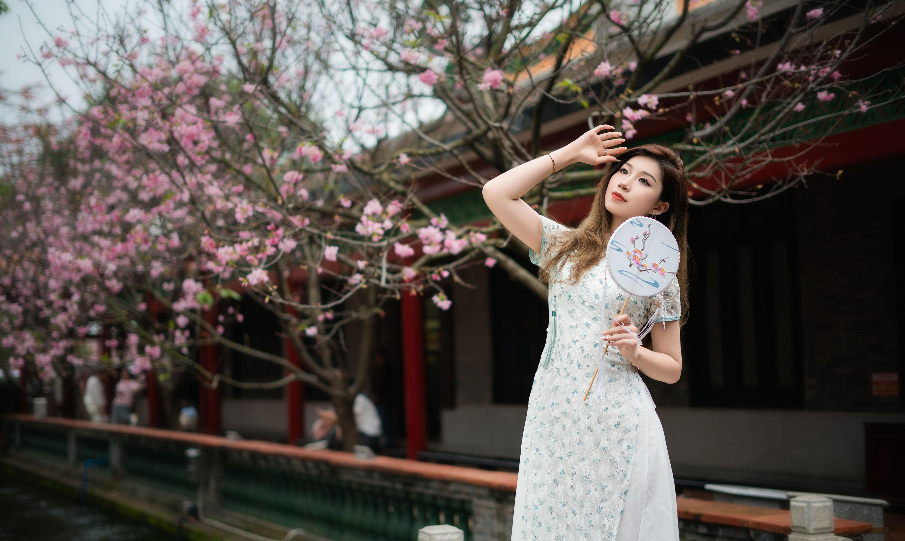 辣鼻小新 – 《旗袍美女》[15P] 插图2