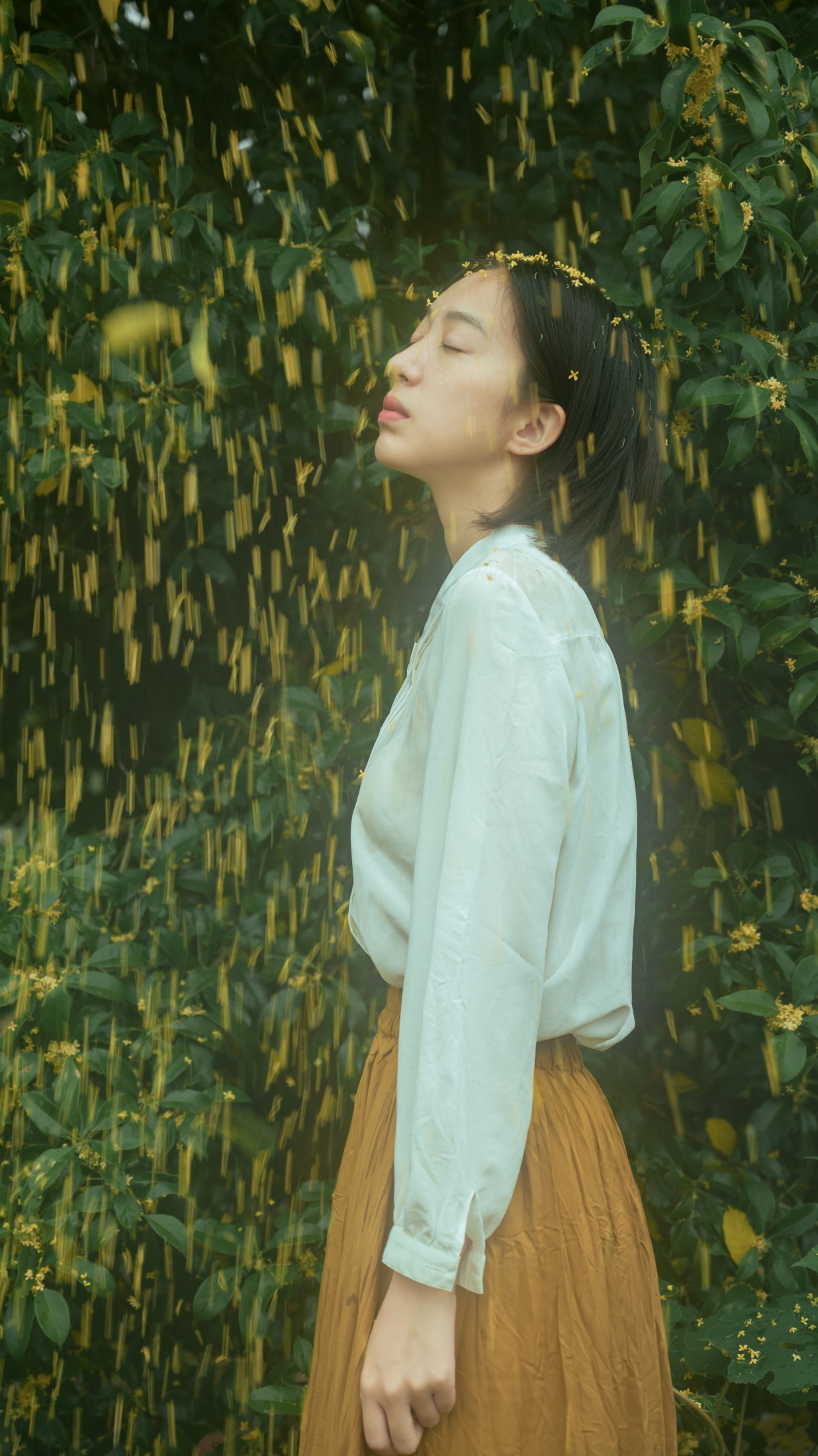 子芸 – 《麦田晨雾》[26P] 插图3