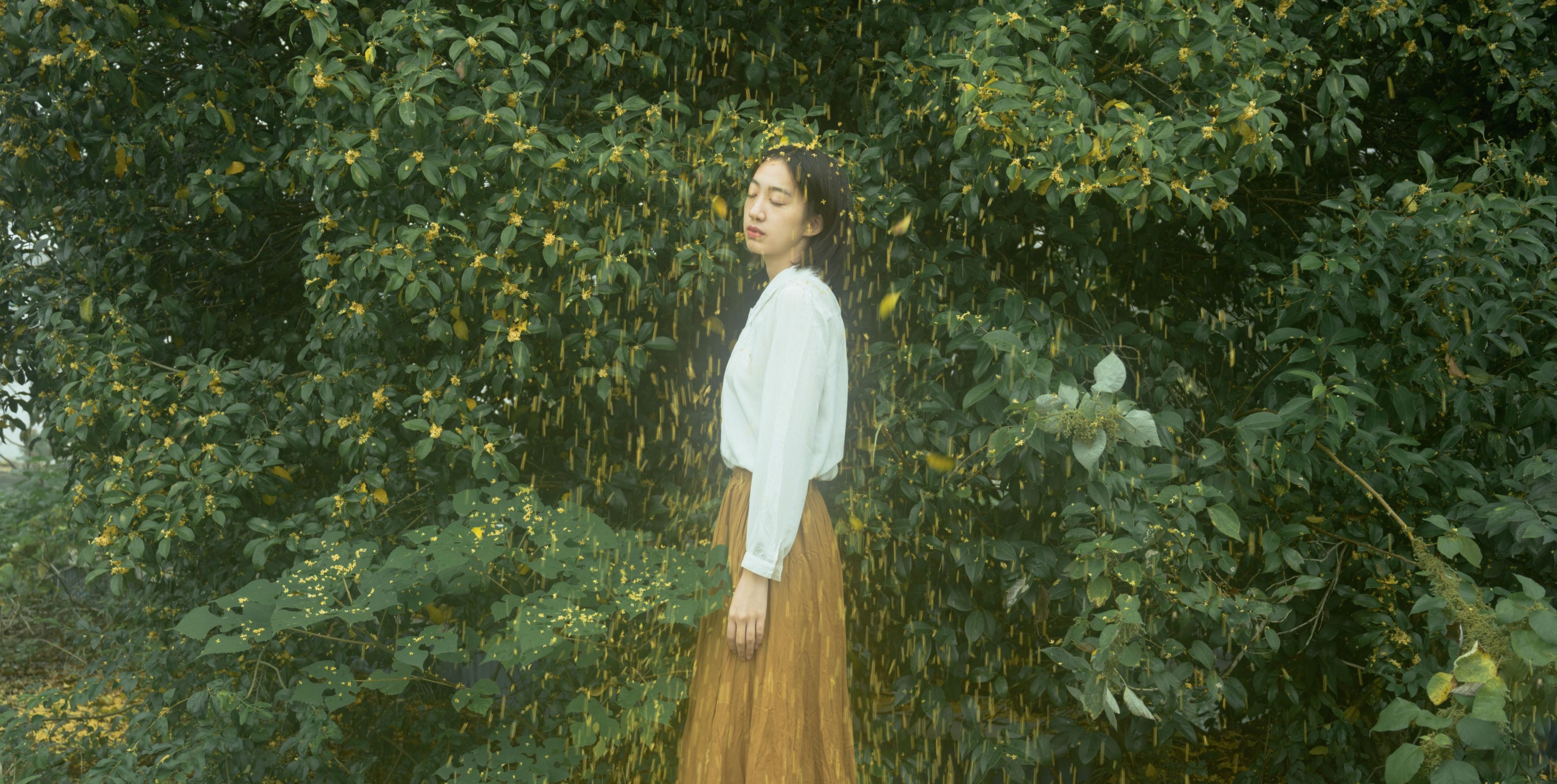 子芸 – 《麦田晨雾》[26P] 插图2