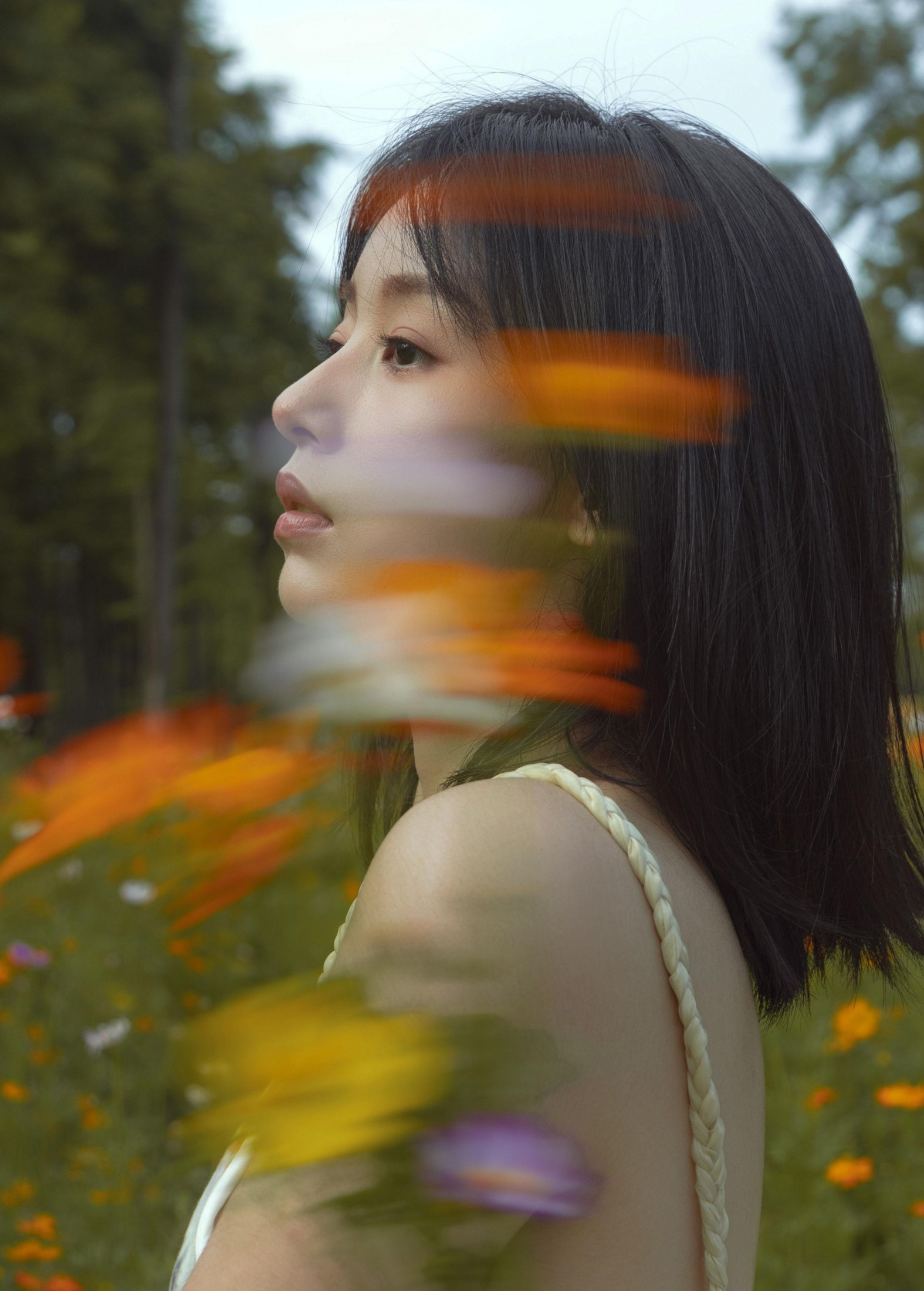 ahs – 《如花在野》[13P] 插图2