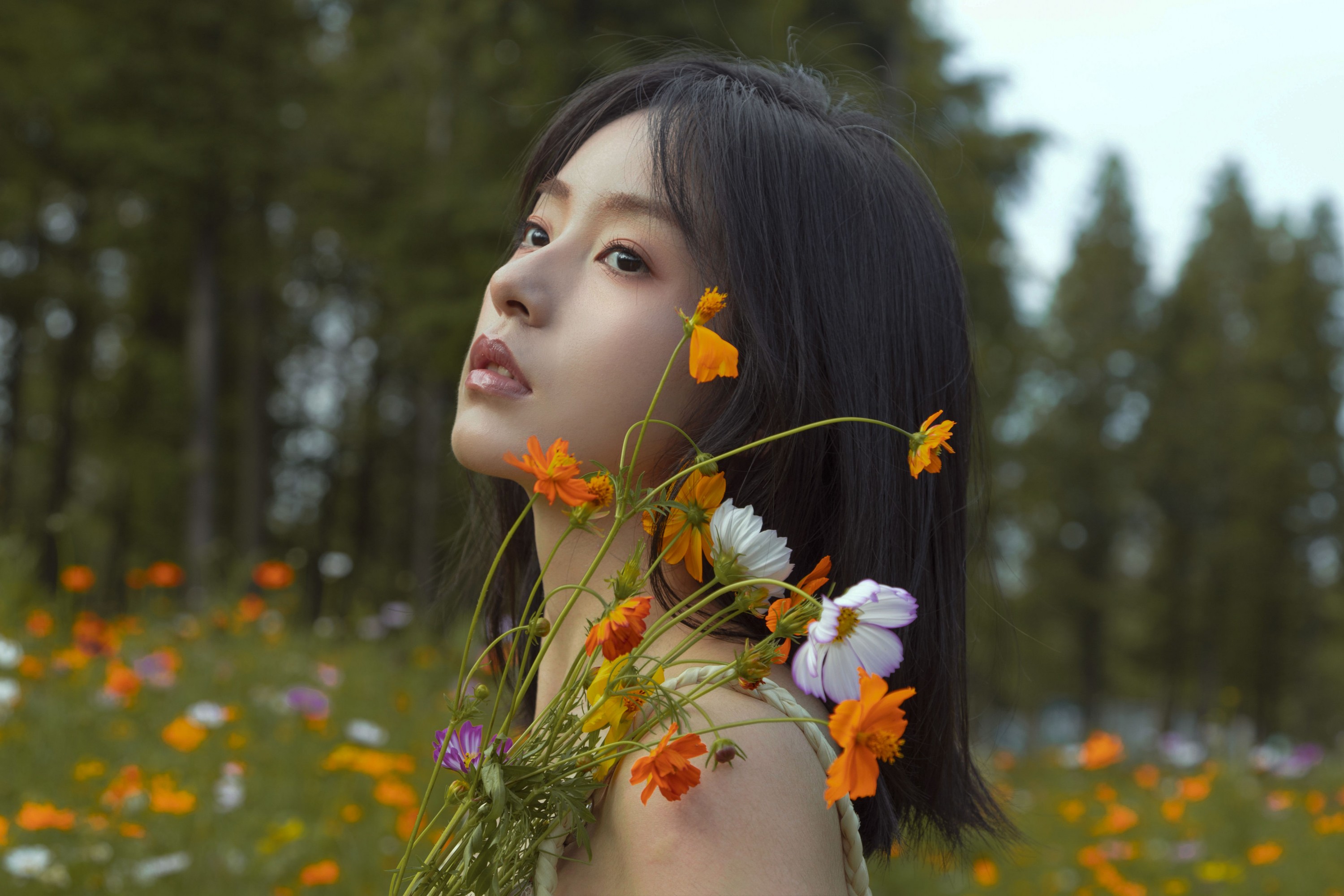 ahs – 《如花在野》[13P] 插图3