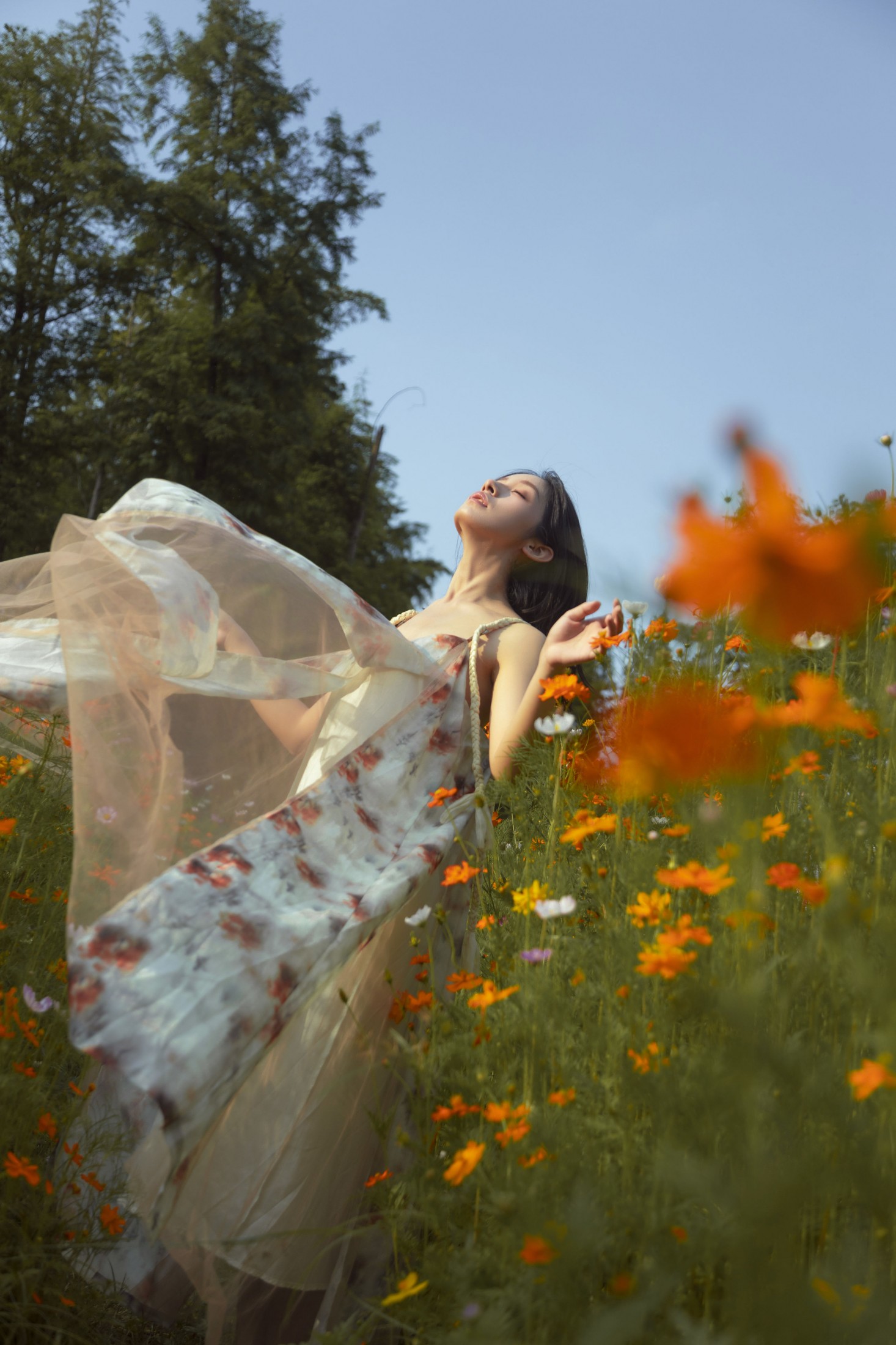 ahs – 《如花在野》[13P]-66COS