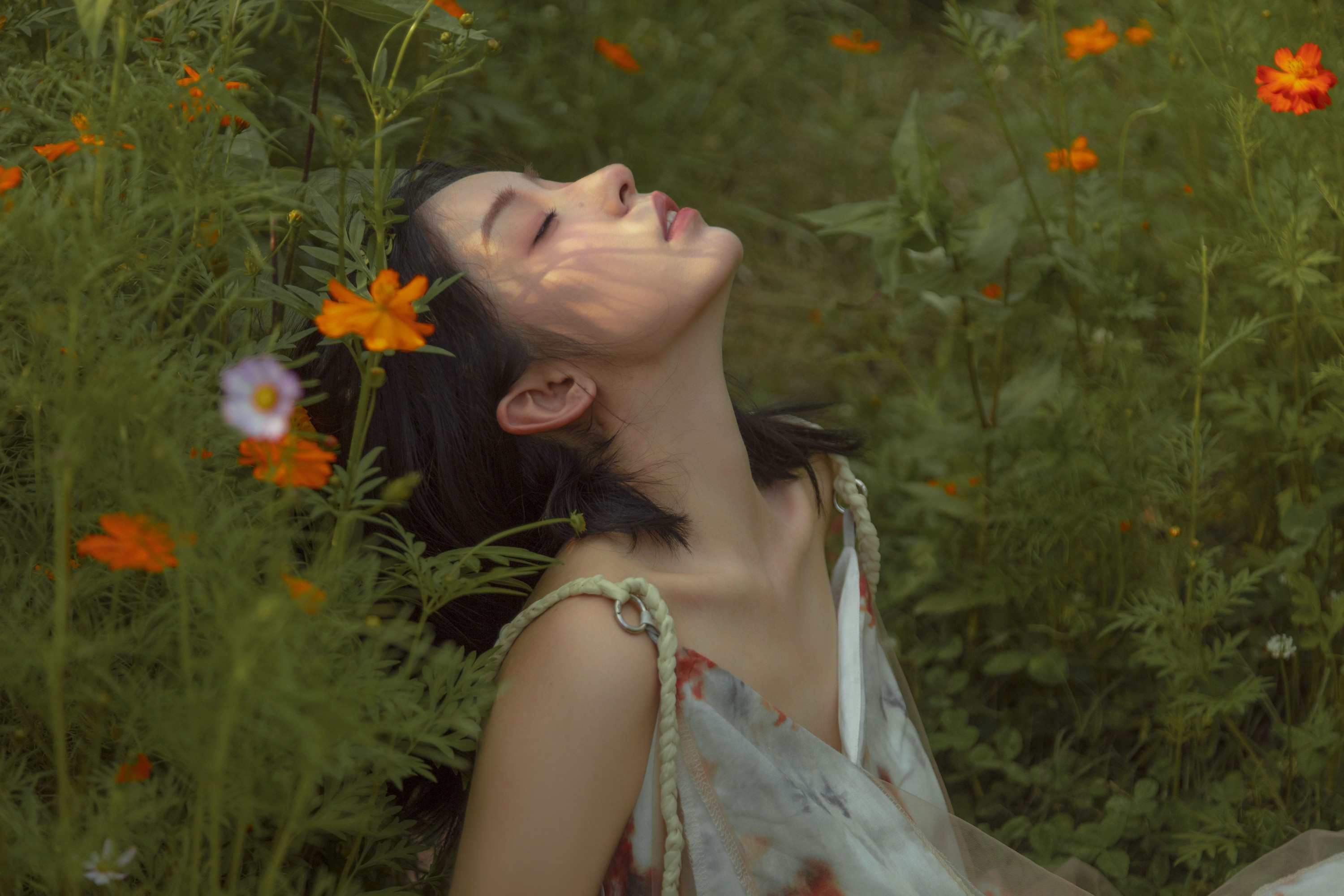 ahs – 《如花在野》[13P] 插图5