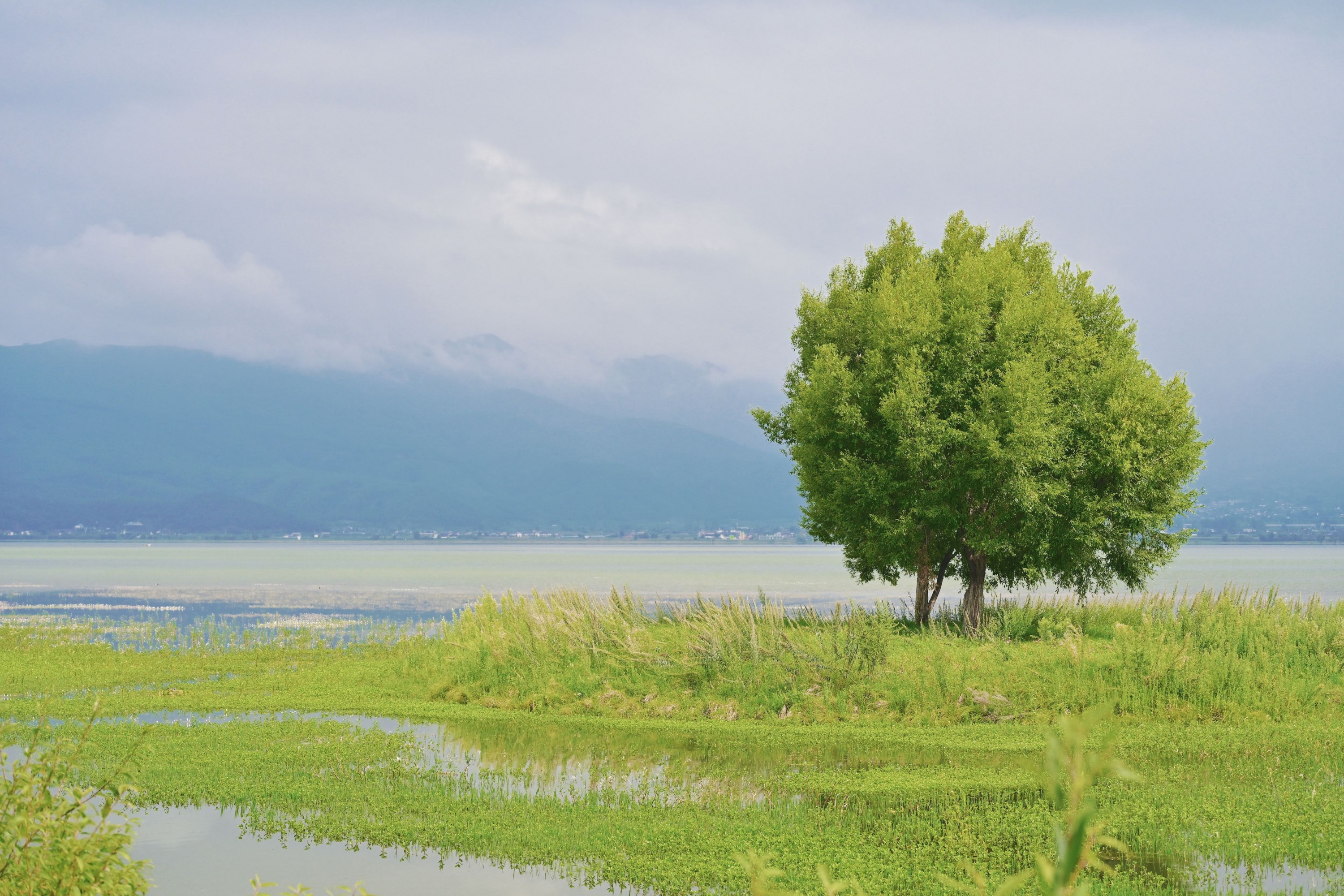 – 《拉市海湿地公园》[13P]-66COS