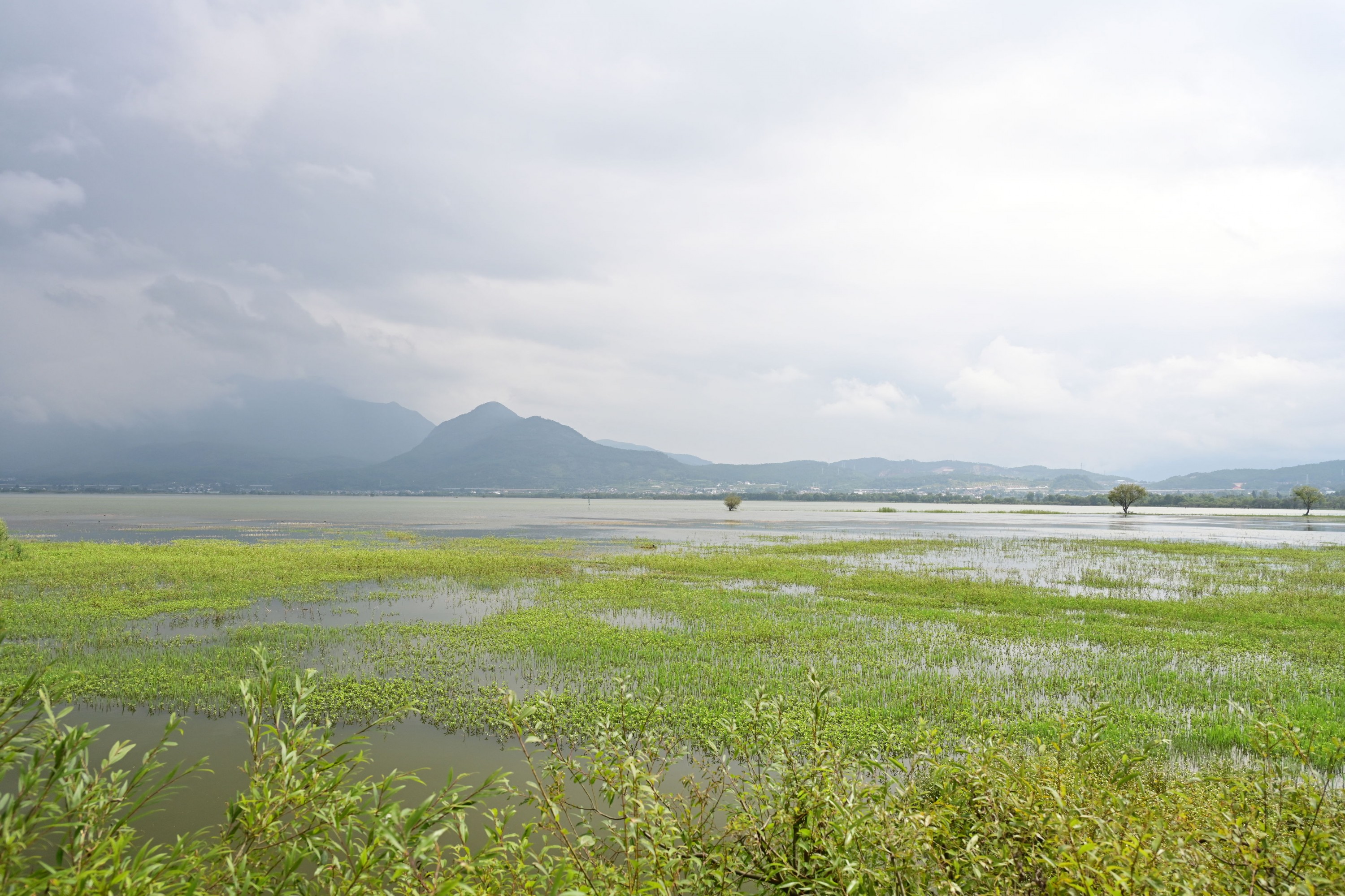  – 《拉市海湿地公园》[13P] 插图5