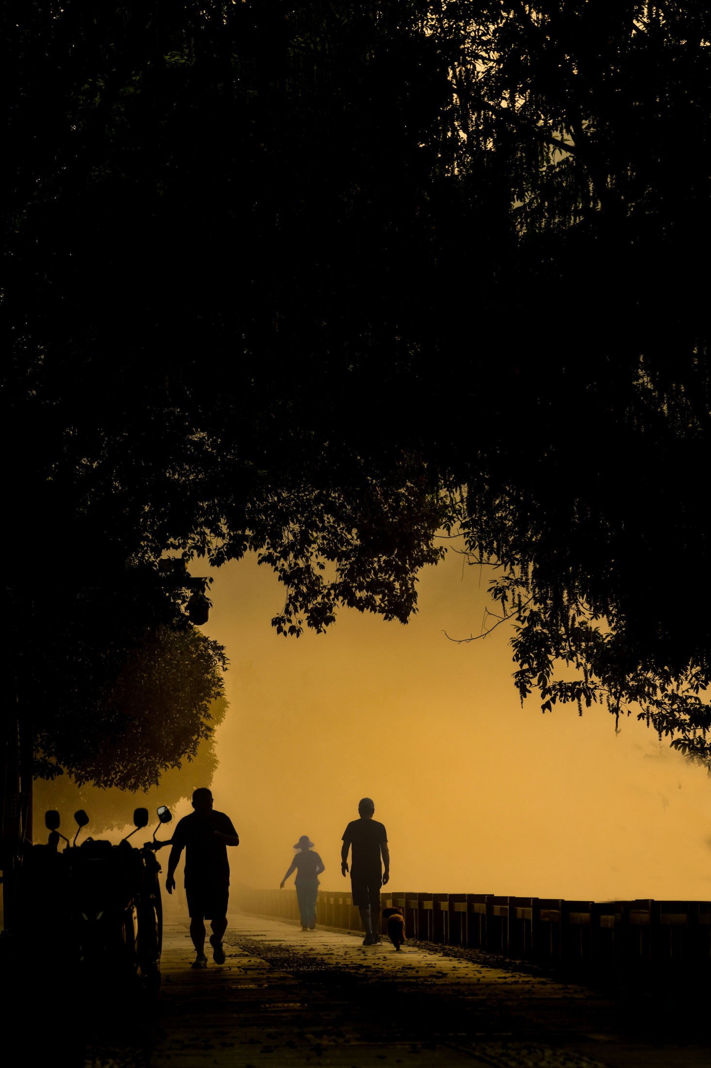  – 《新安江浪漫晨雾》[16P] 插图5