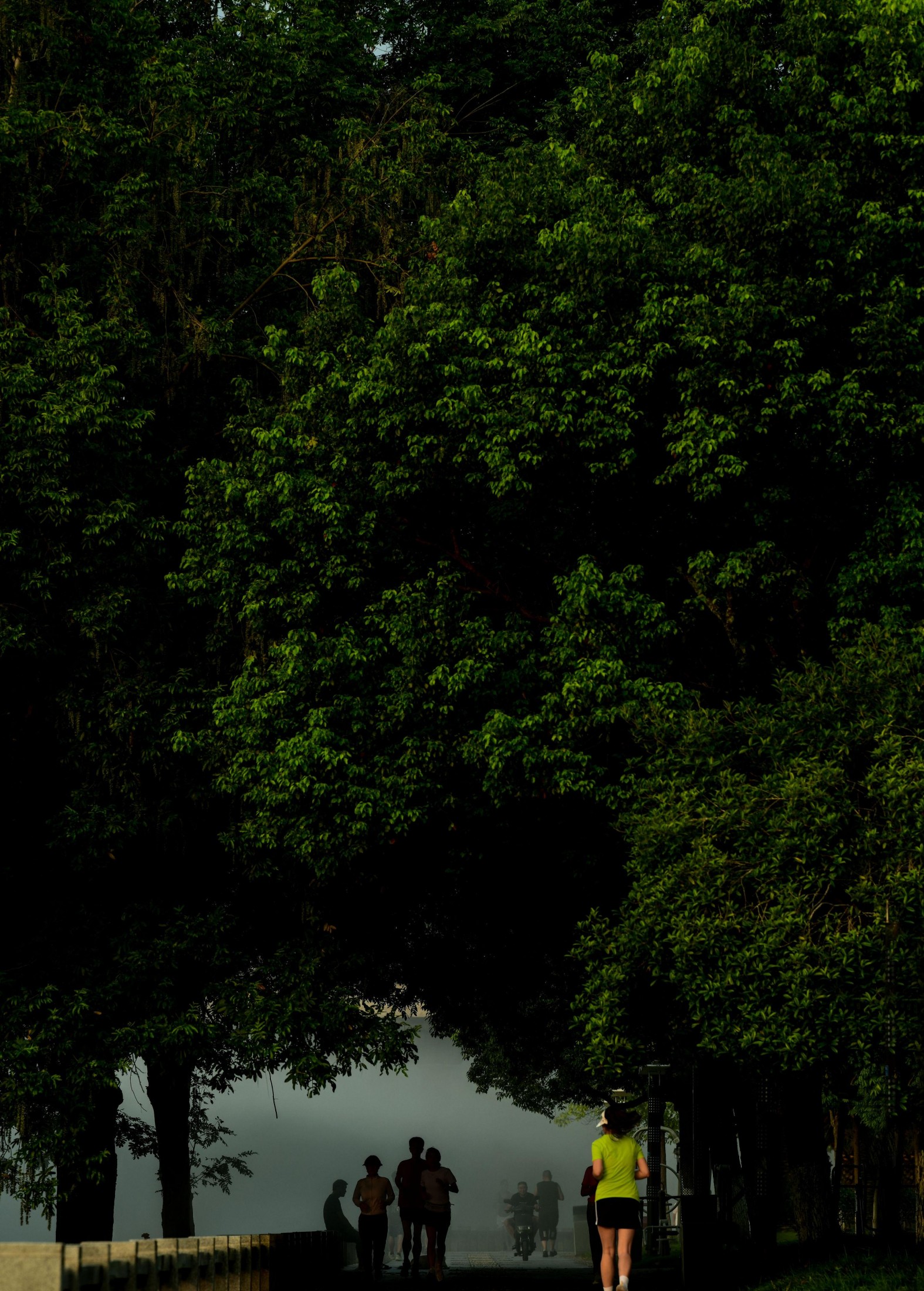  – 《新安江浪漫晨雾》[16P] 插图2