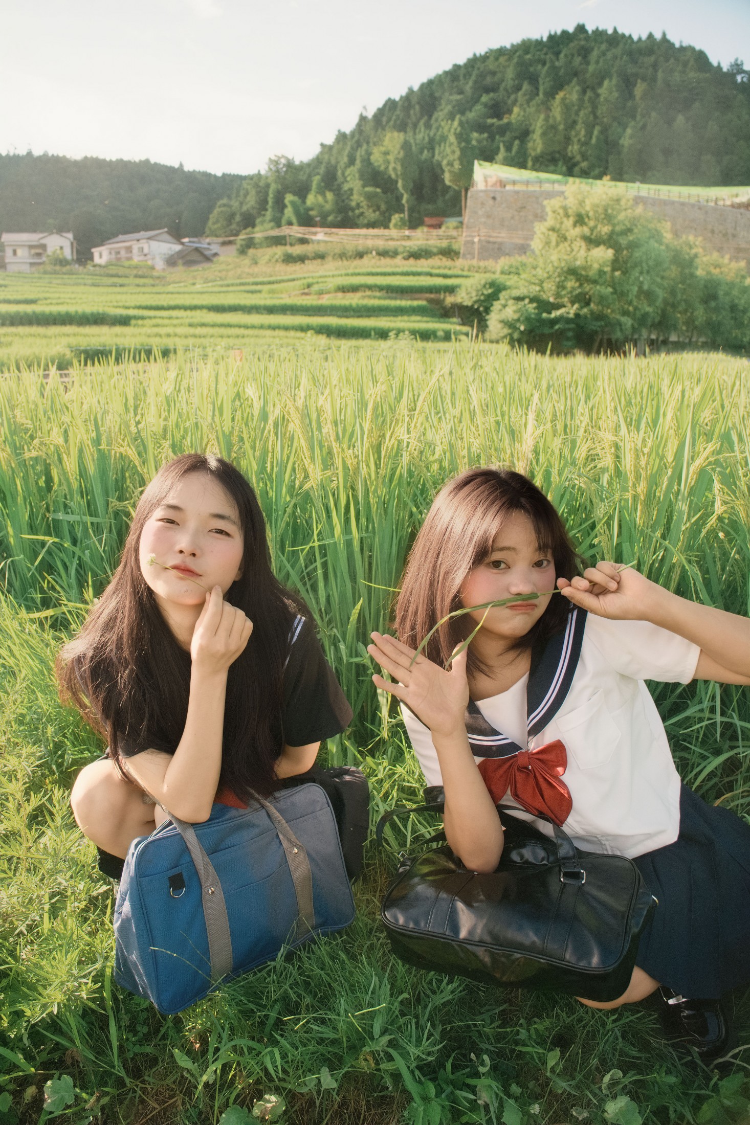 十一～ 幸运汤圆 – 《稻香》[40P] 插图4