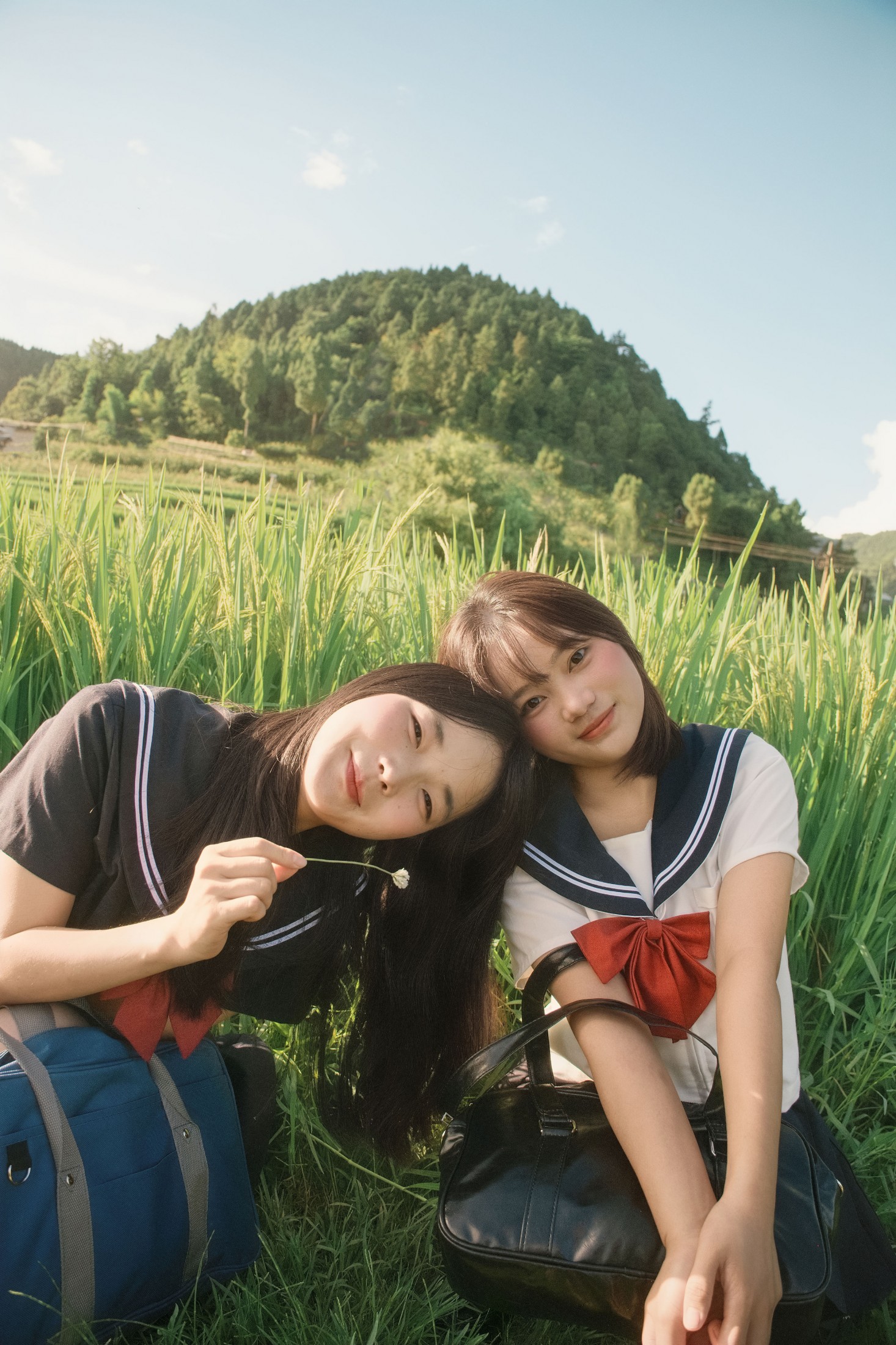 十一～ 幸运汤圆 – 《稻香》[40P] 插图5