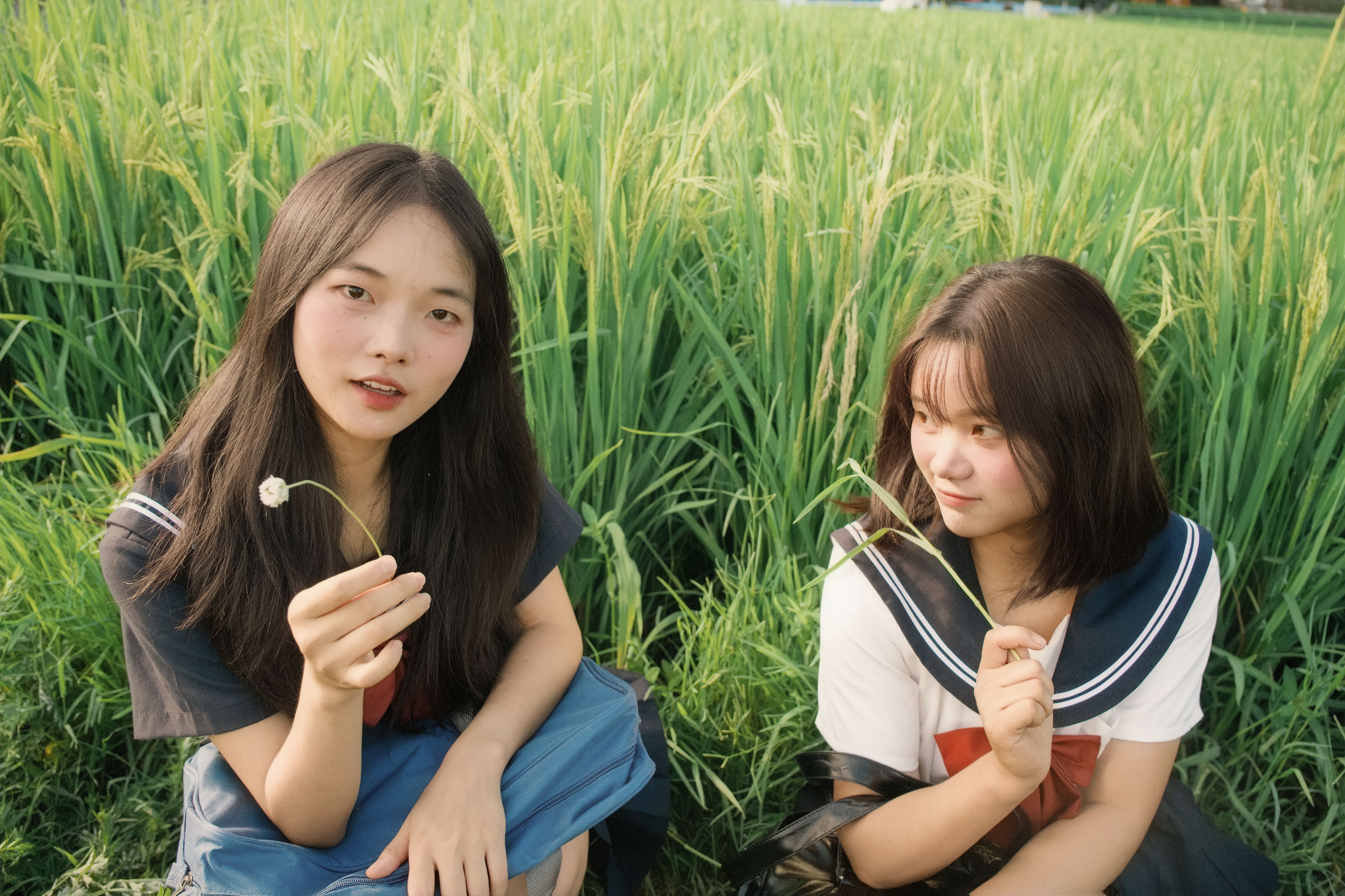 十一～ 幸运汤圆 – 《稻香》[40P] 插图3