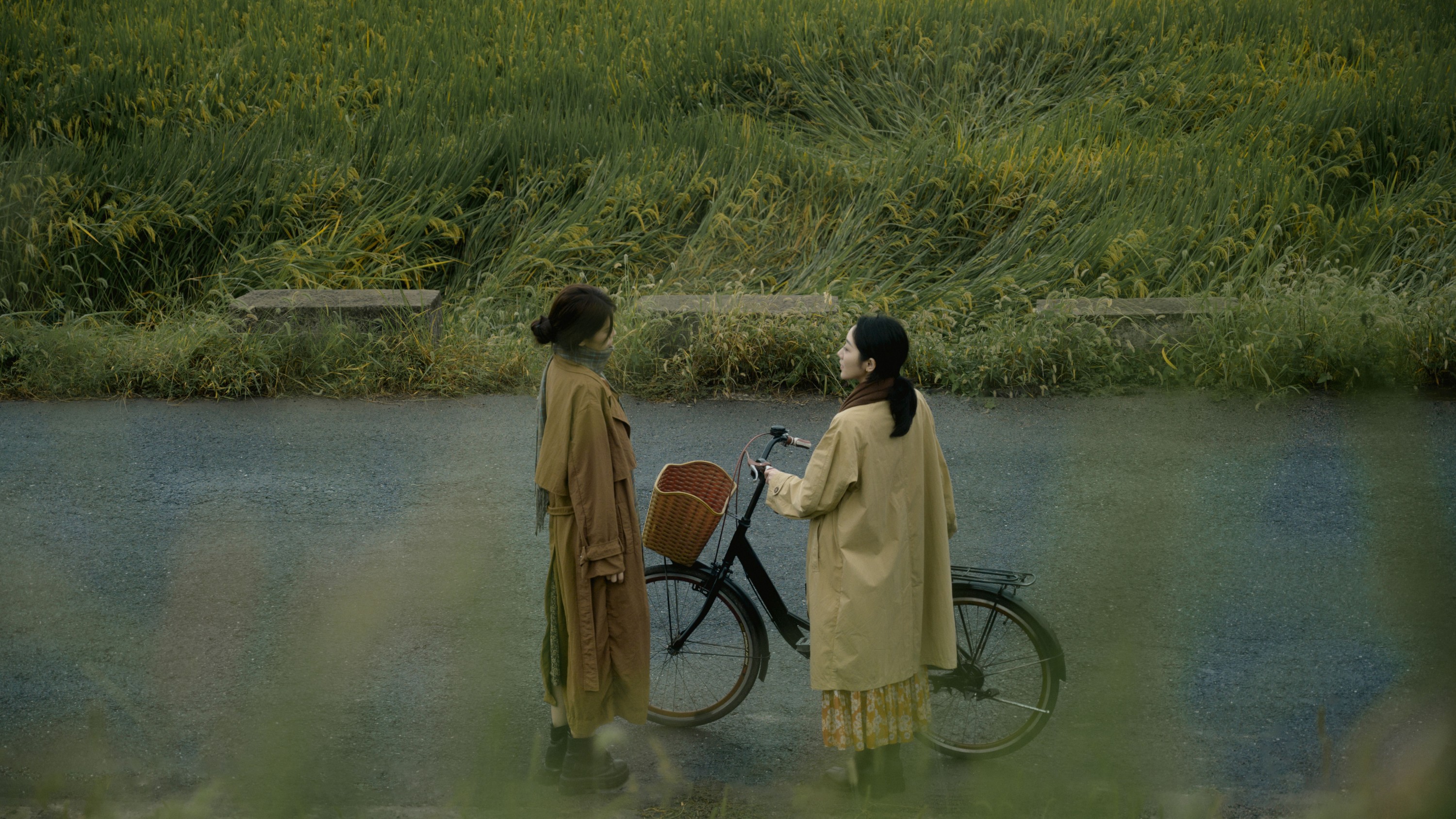  – 《带我走吧》[25P] 插图4