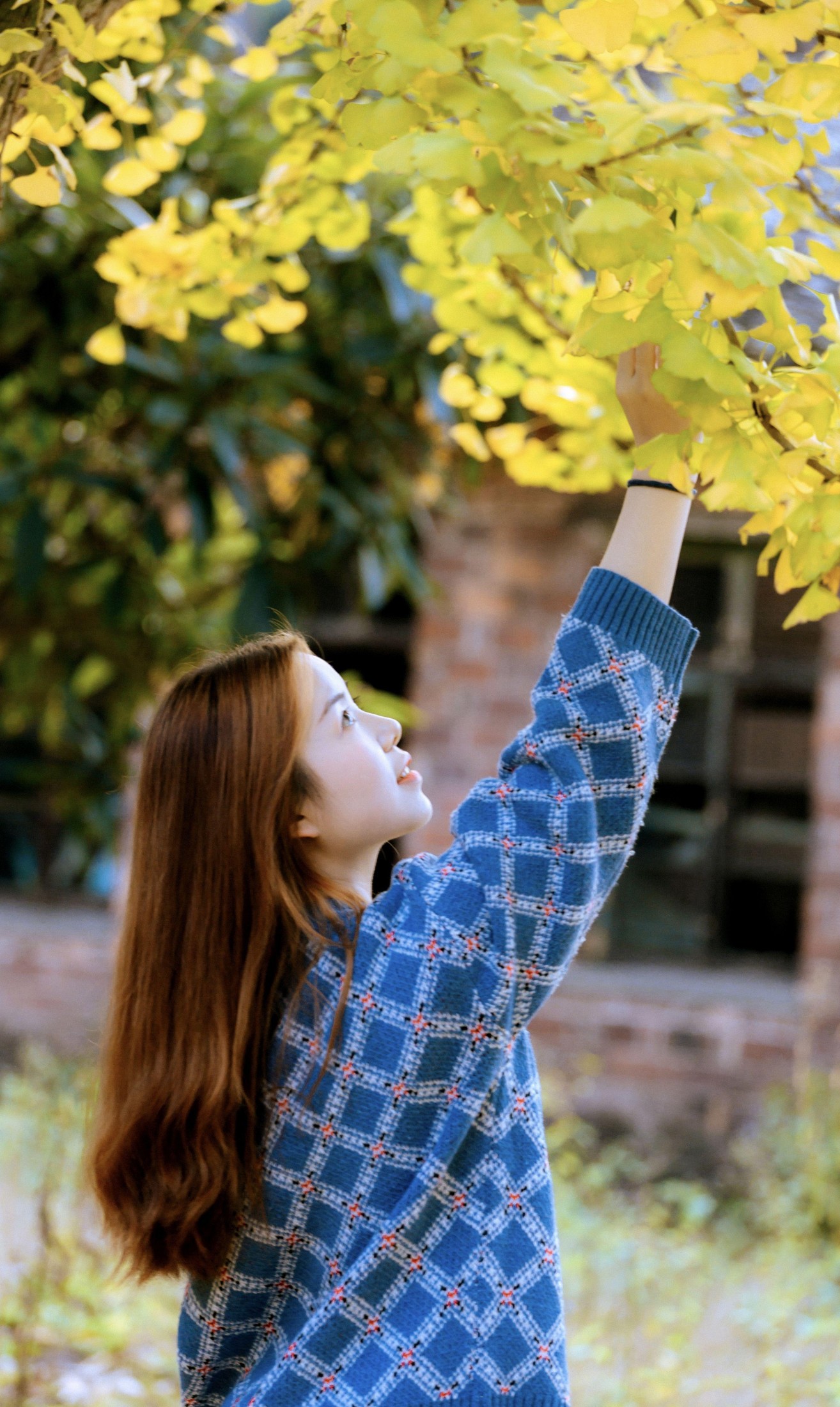 鑫鑫 – 《秋叶黄了》[13P] 插图2