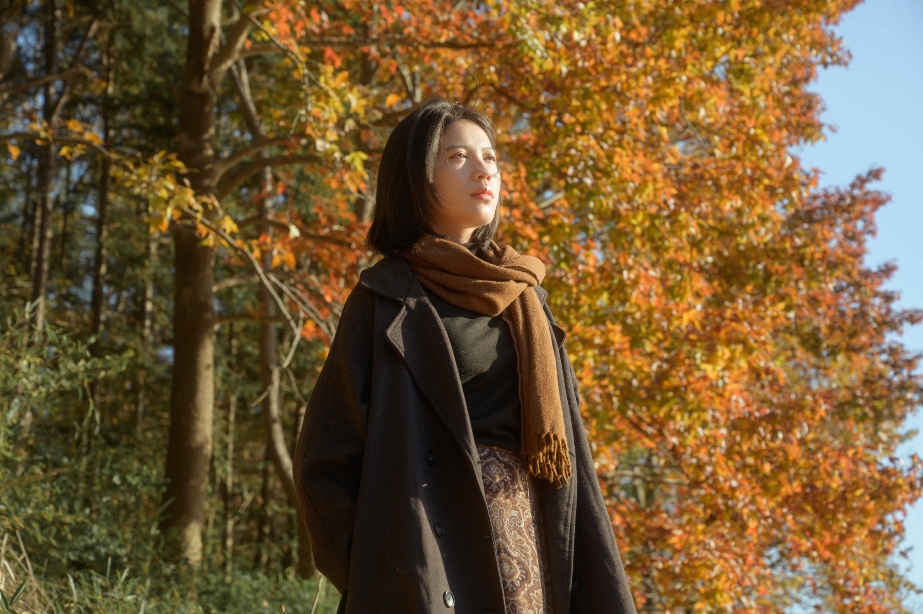 2000 – 《又是一年秋》[27P] 插图5