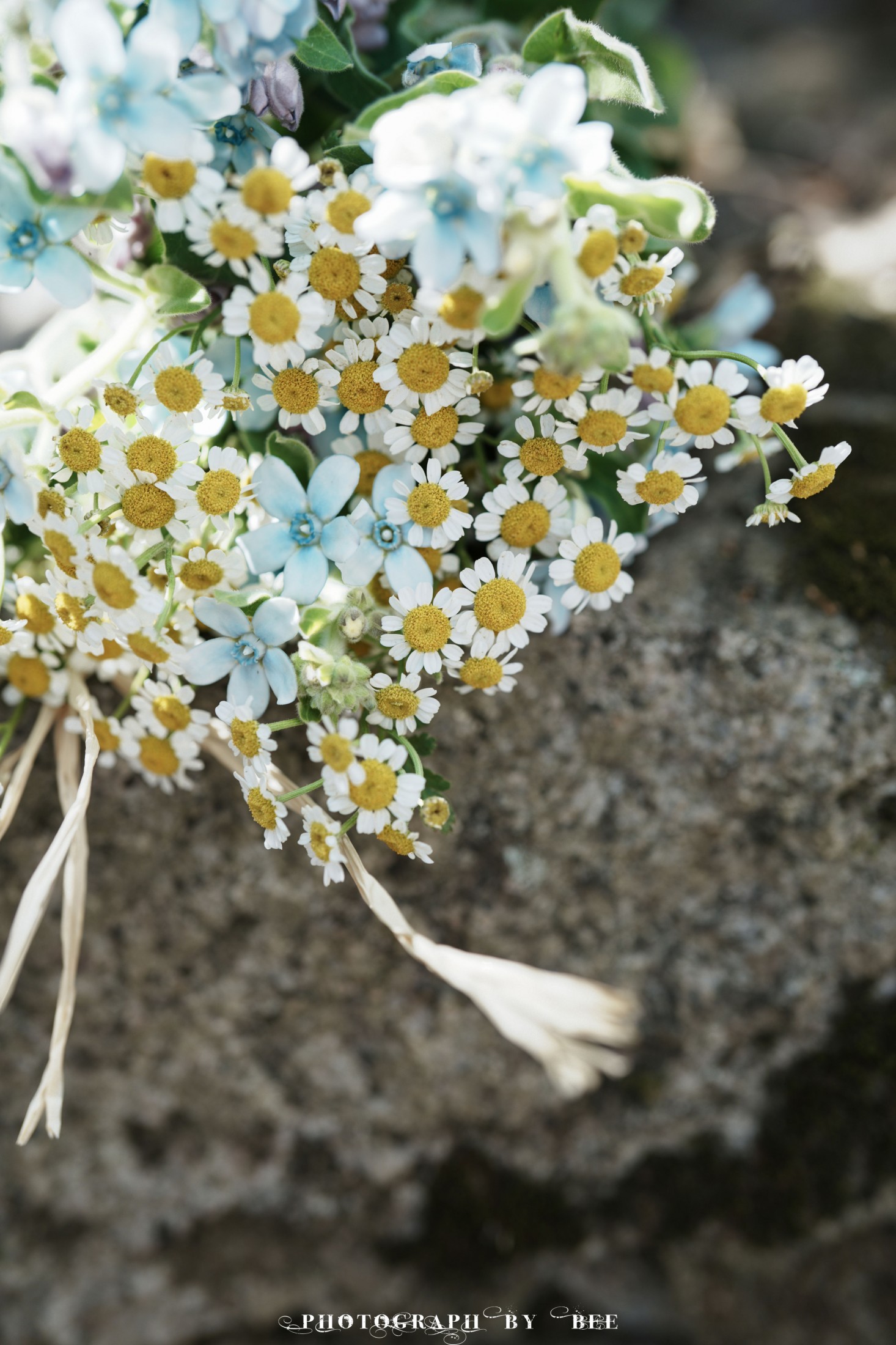 桂花鸭 – 《日系-日杂风》[17P] 插图5