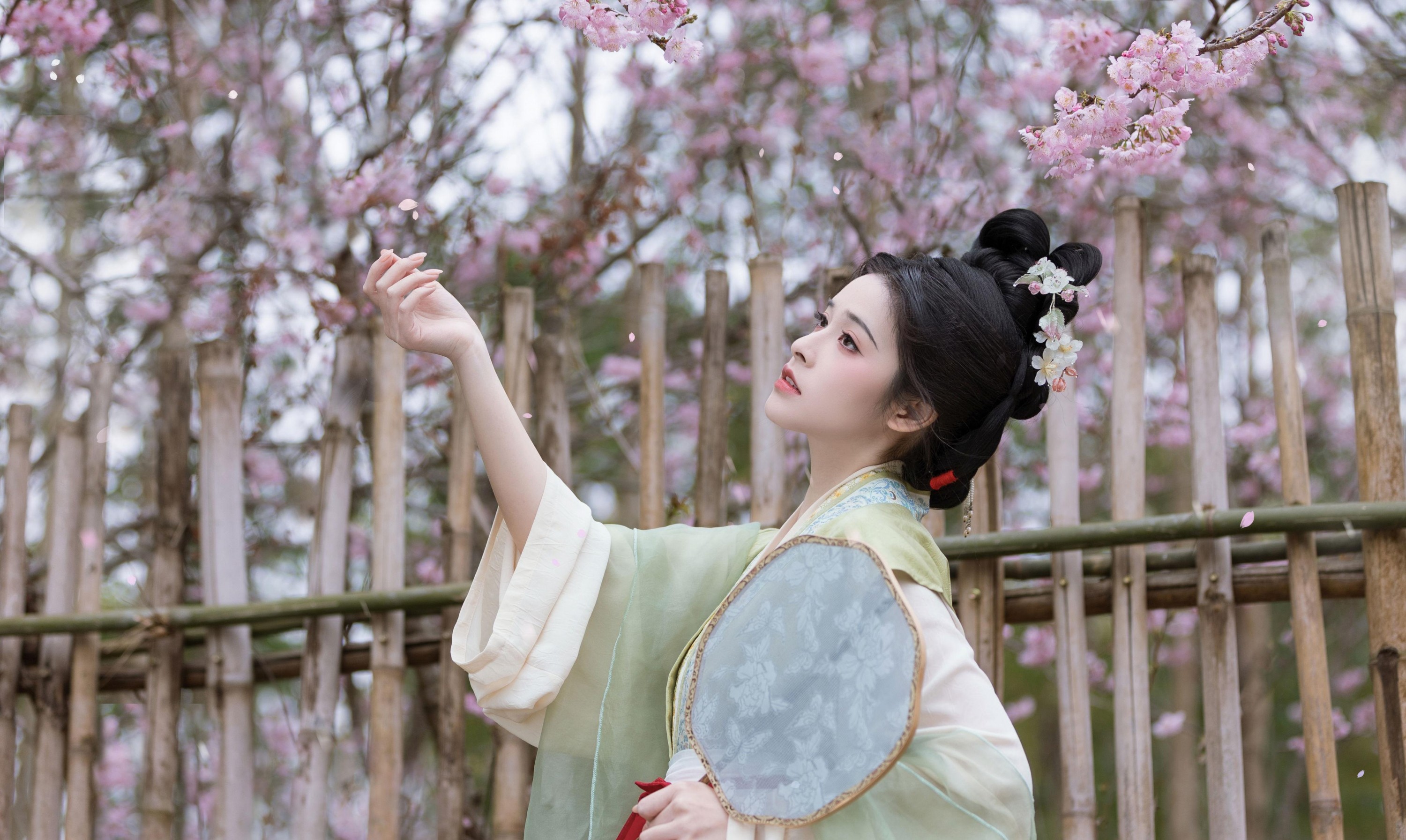 恬恬圈圈 – 《樱落》[20P] 插图2