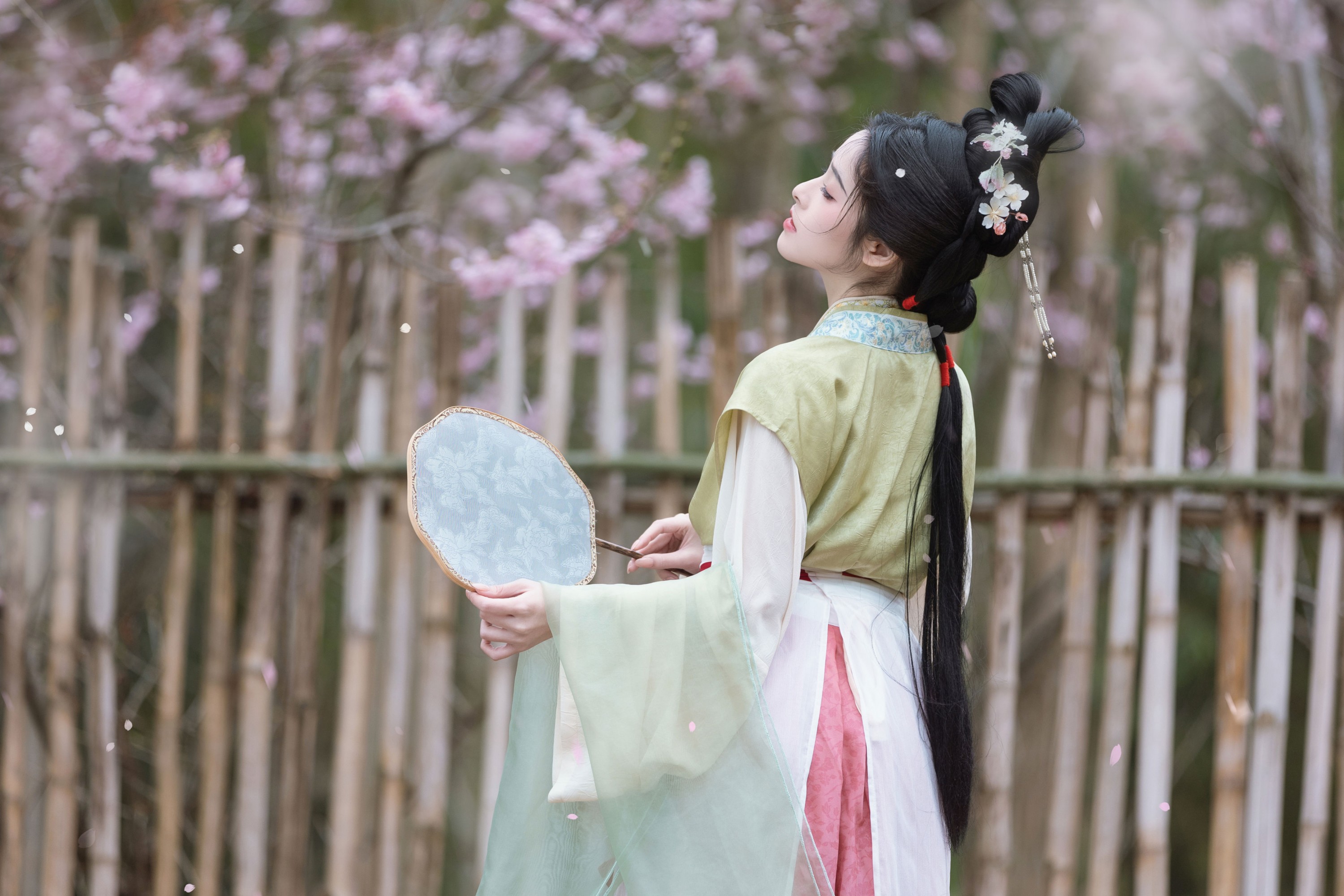 恬恬圈圈 – 《樱落》[20P] 插图3