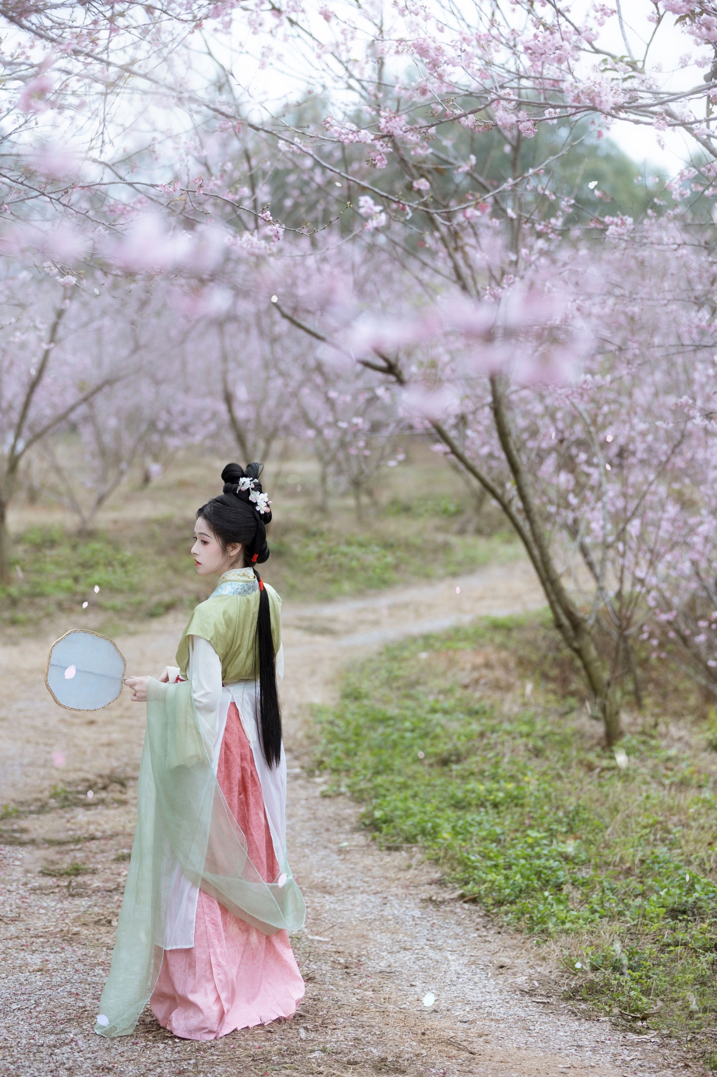 恬恬圈圈 – 《樱落》[20P] 插图4