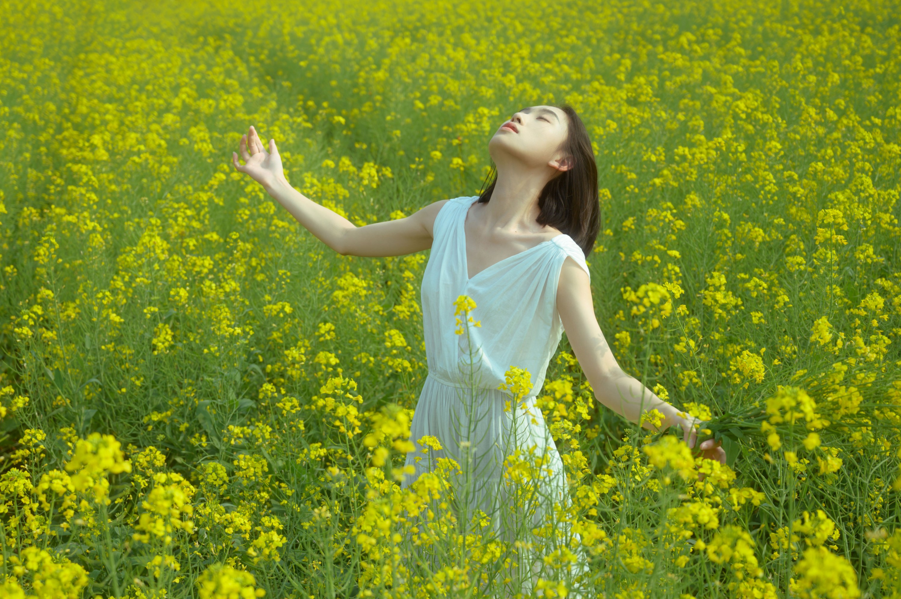 心洁 – 《蝴蝶与油菜花》[32P]-66COS
