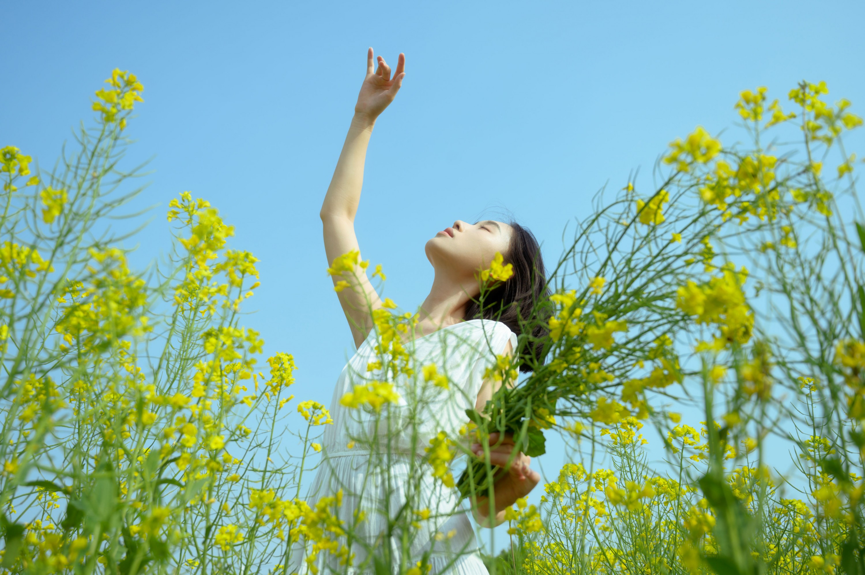 心洁 – 《蝴蝶与油菜花》[32P] 插图3