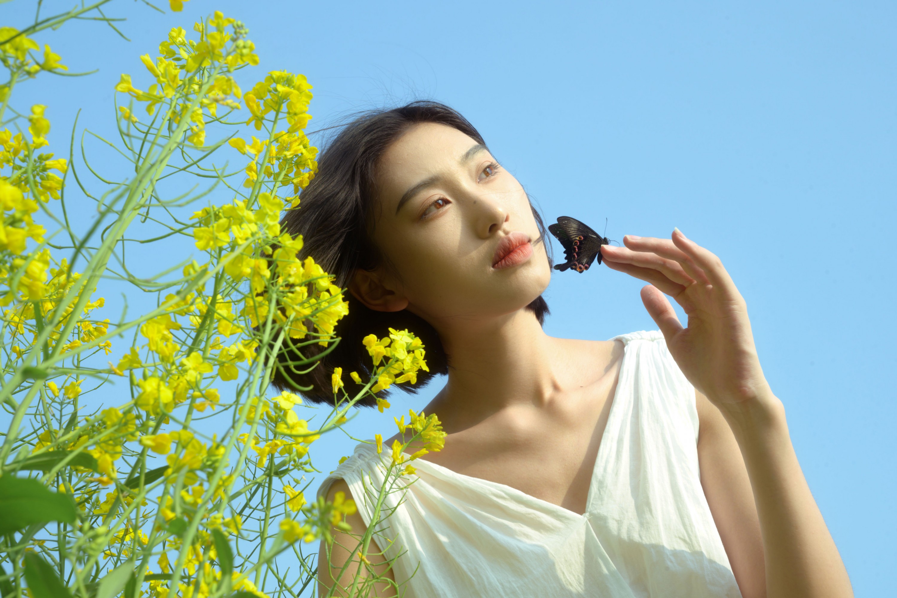 心洁 – 《蝴蝶与油菜花》[32P] 插图5