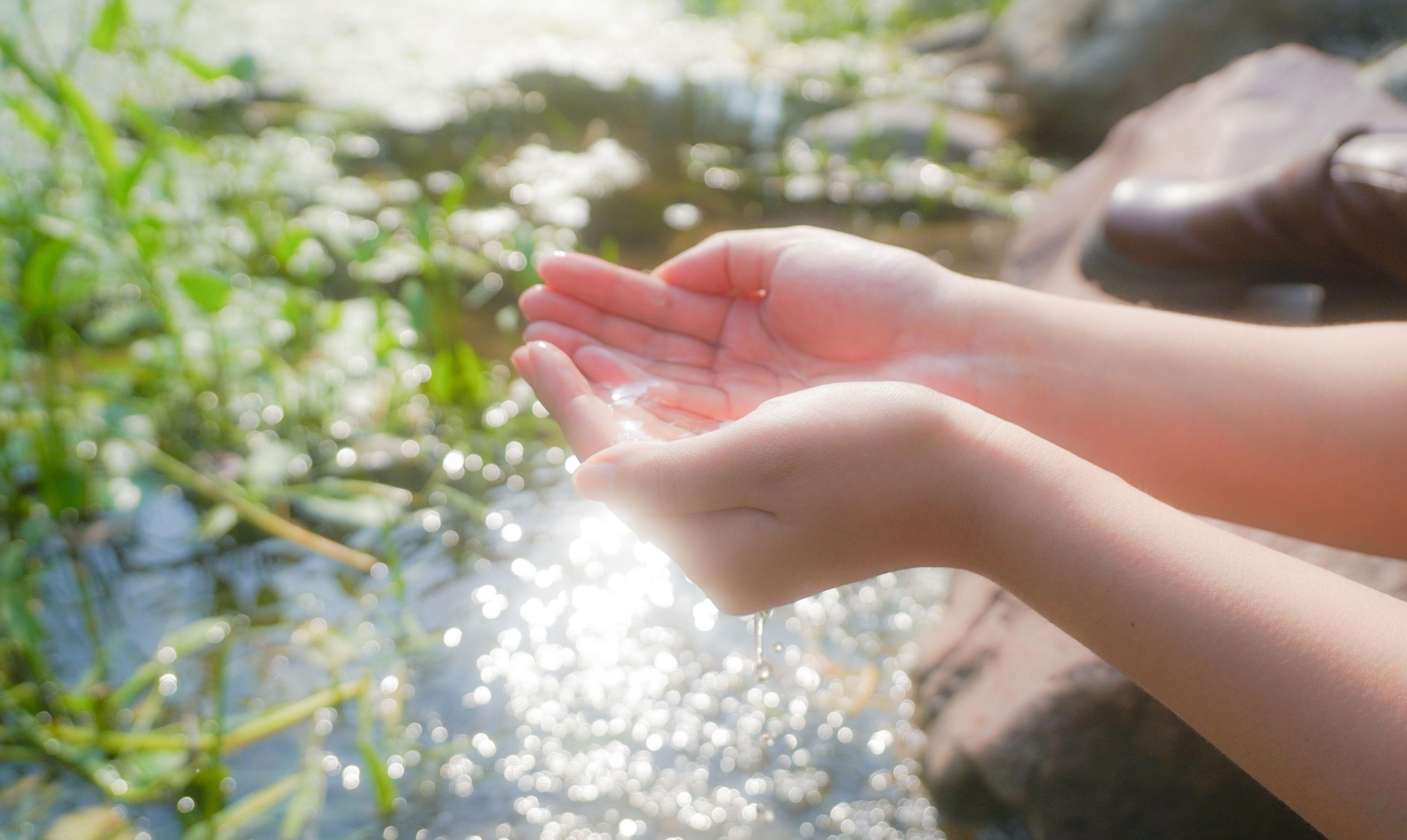  – 《葬送的芙莉莲》[12P] 插图2