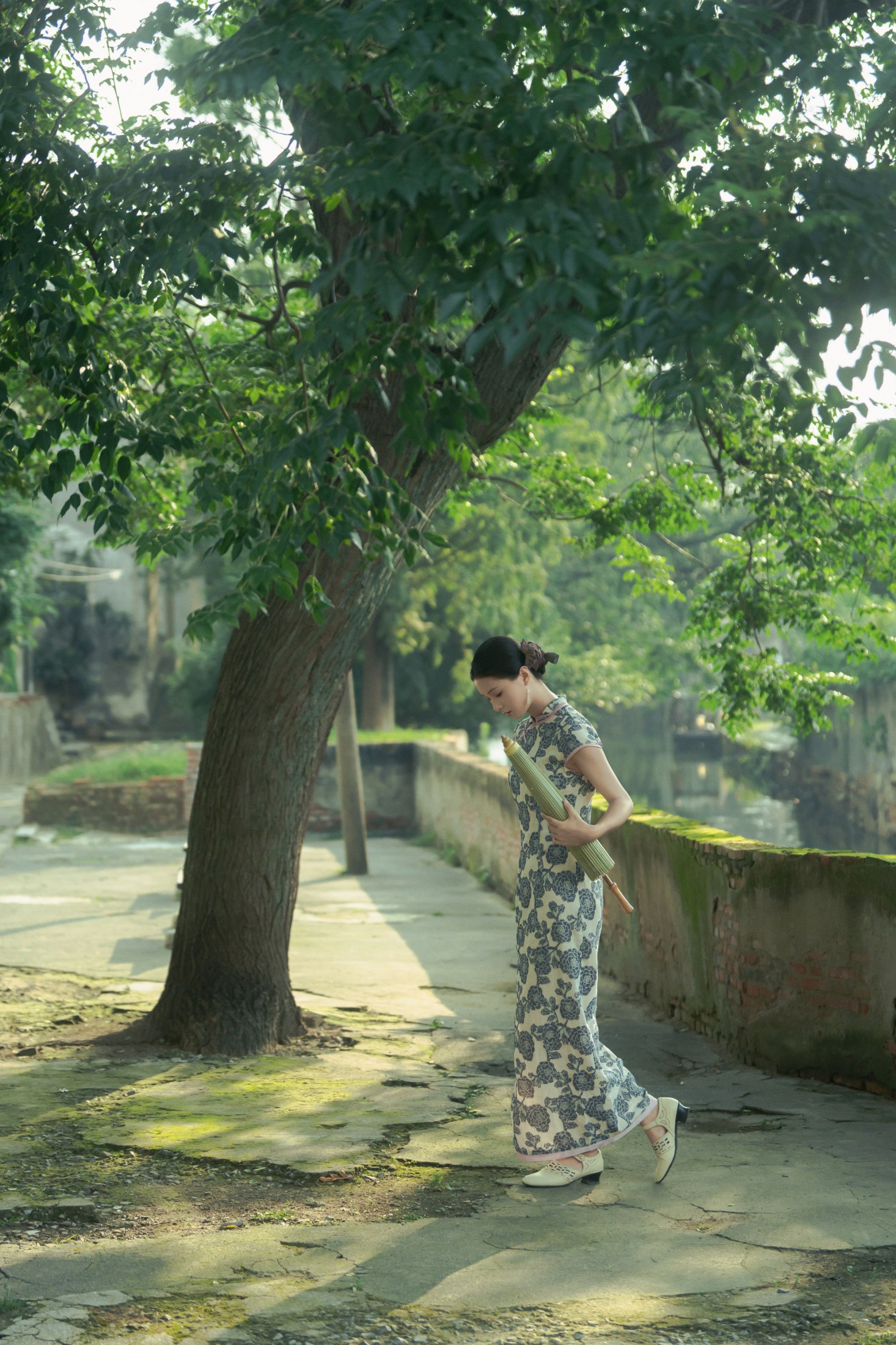 绛朱_ – 《旗袍 | 世上何来常青树》[16P] 插图5