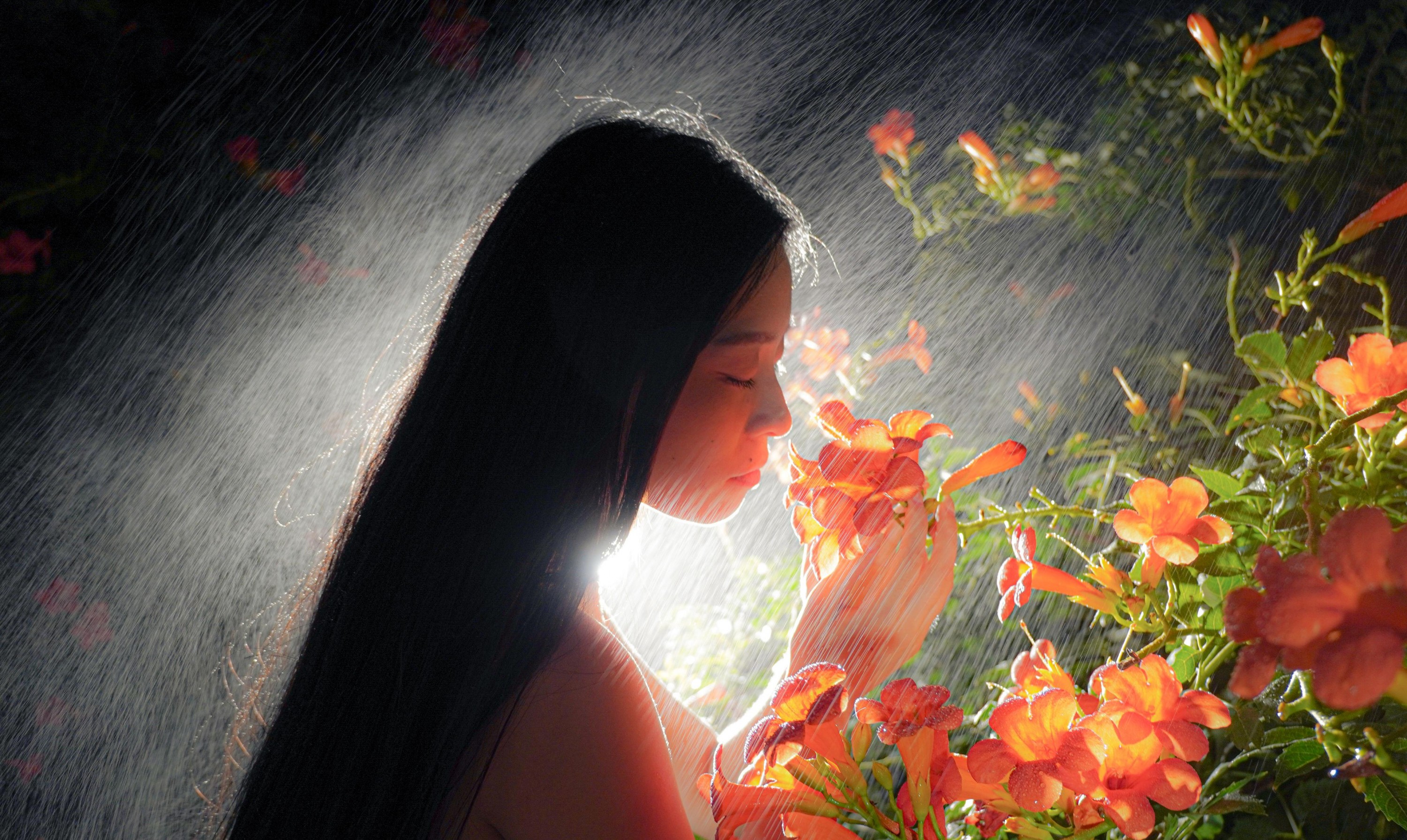  – 《梦里花》[11P] 插图2