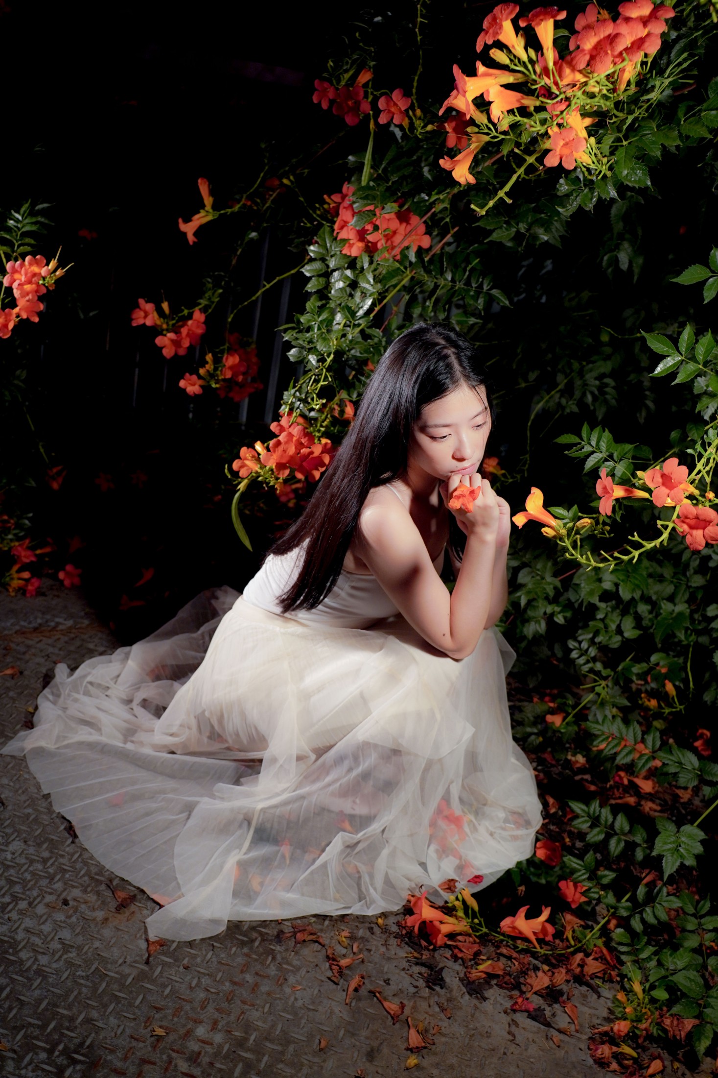  – 《梦里花》[11P] 插图4