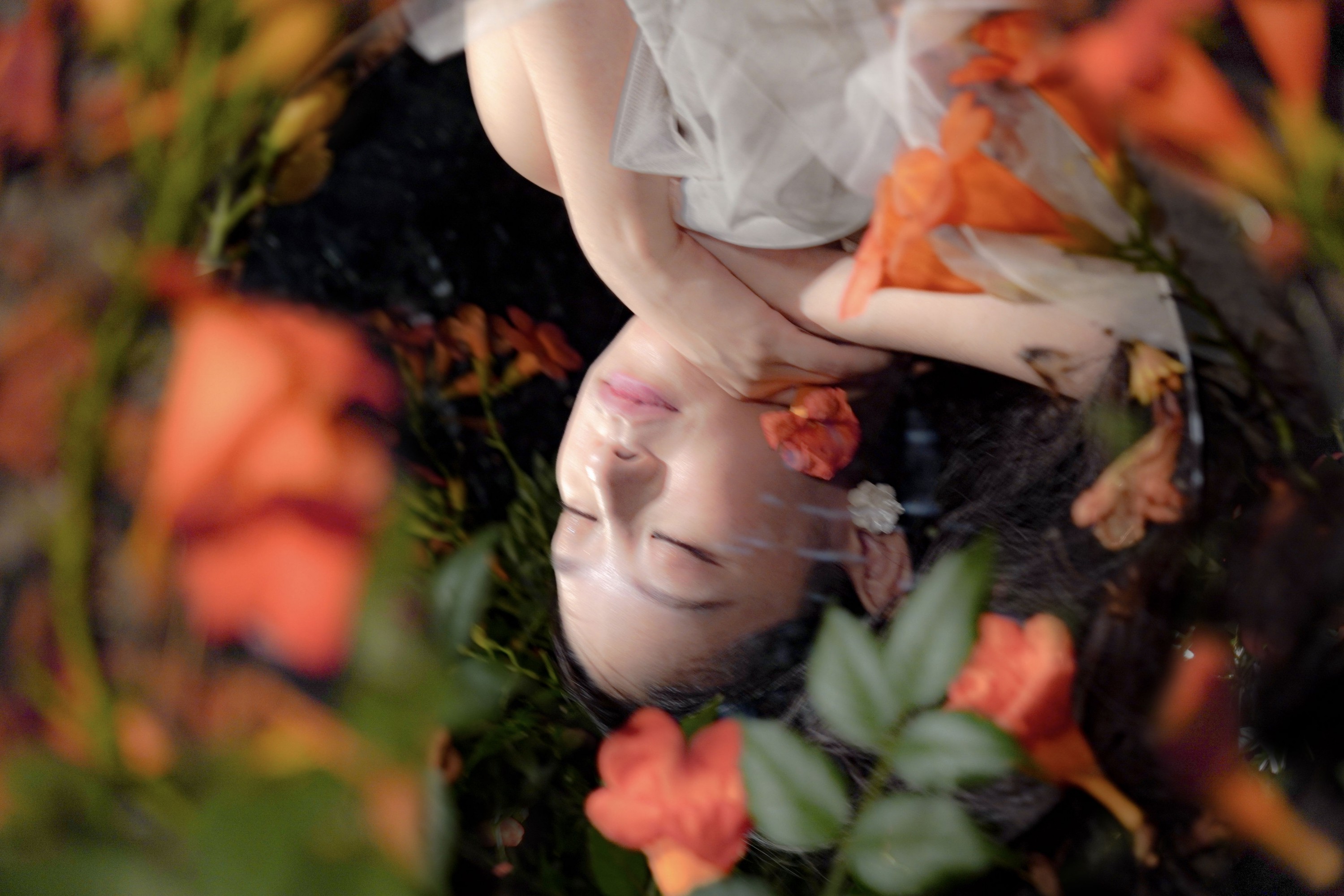  – 《梦里花》[11P] 插图5