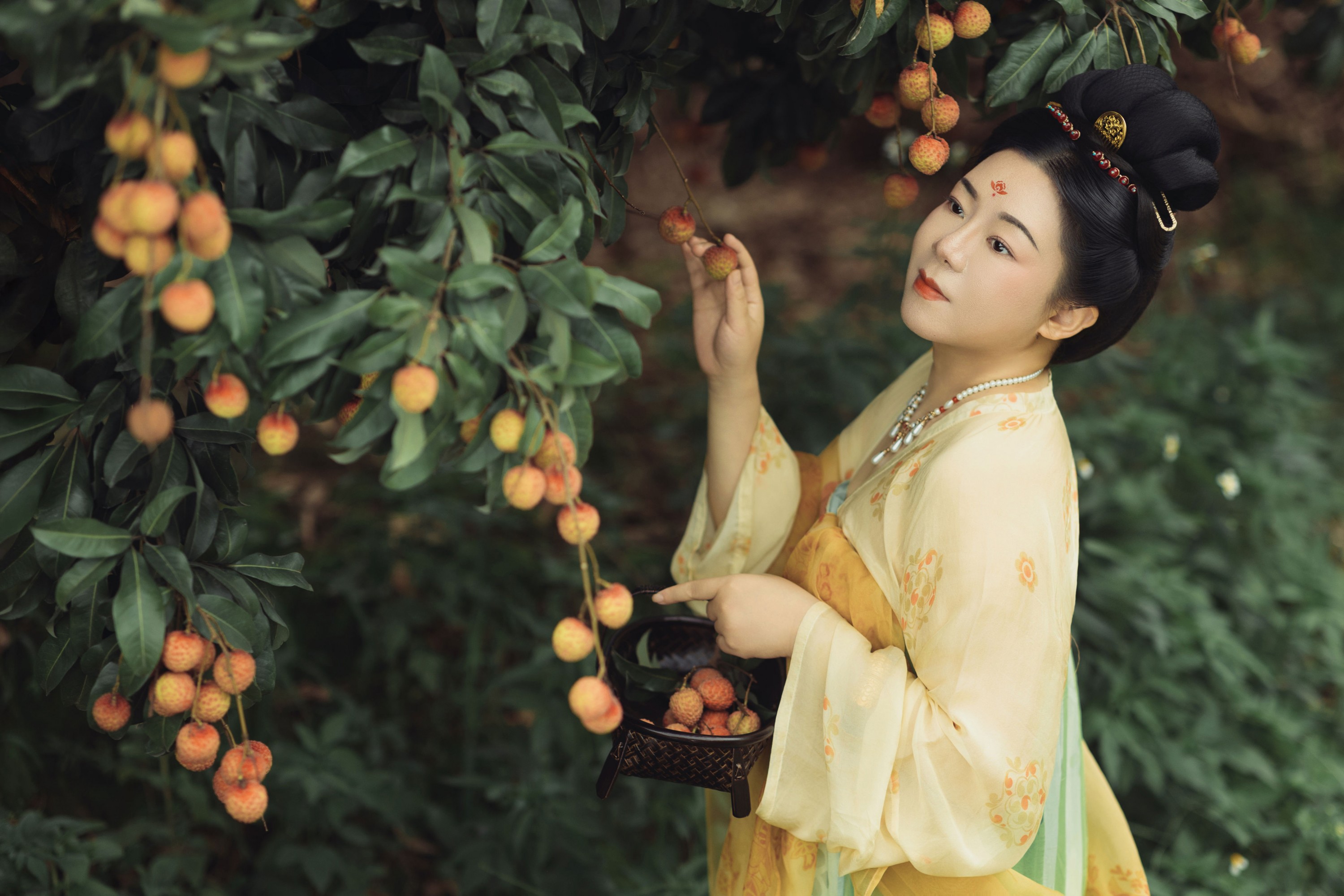 云中君 – 《荔枝香》[33P] 插图5