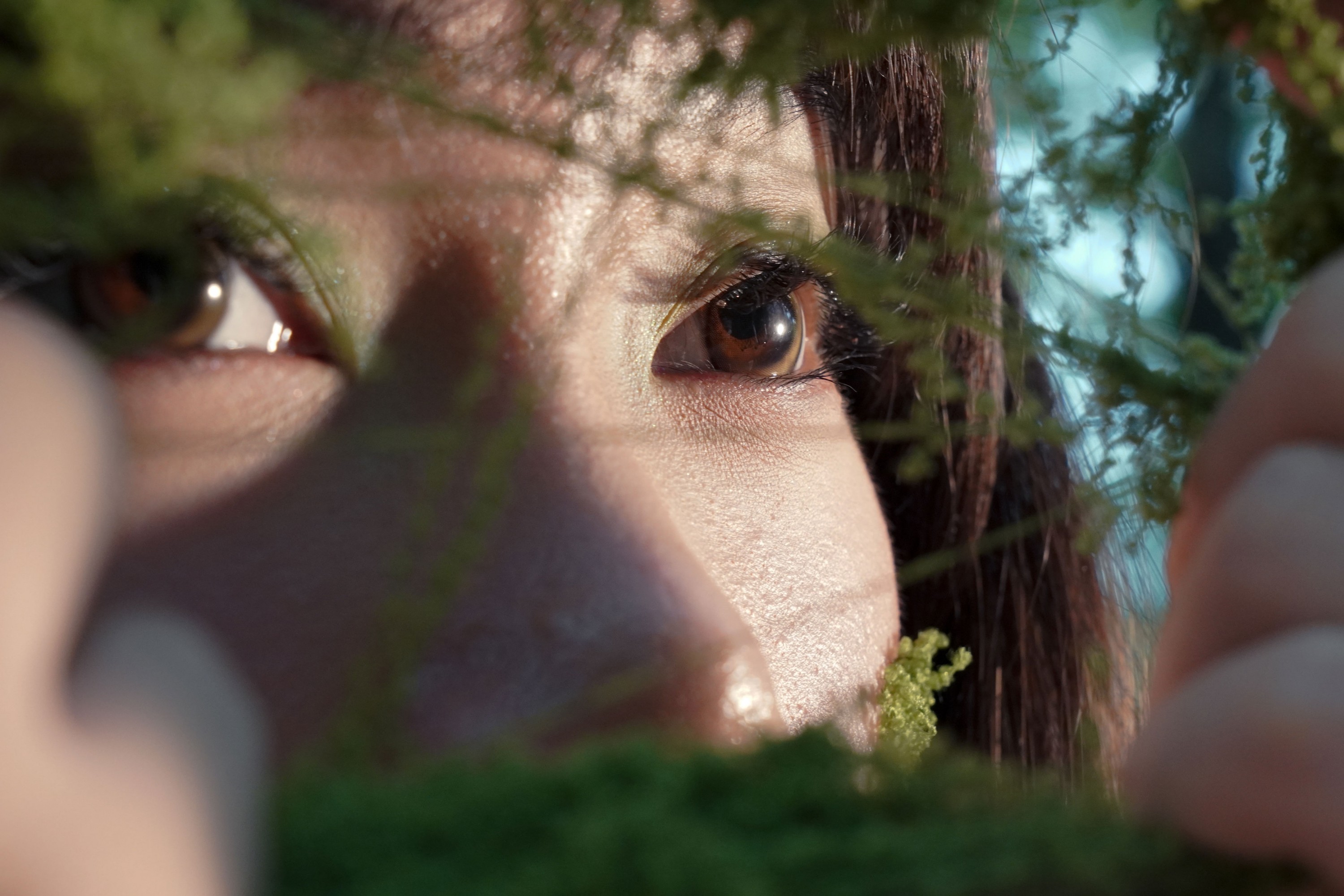  – 《寻找失落的蝴蝶》[15P] 插图4