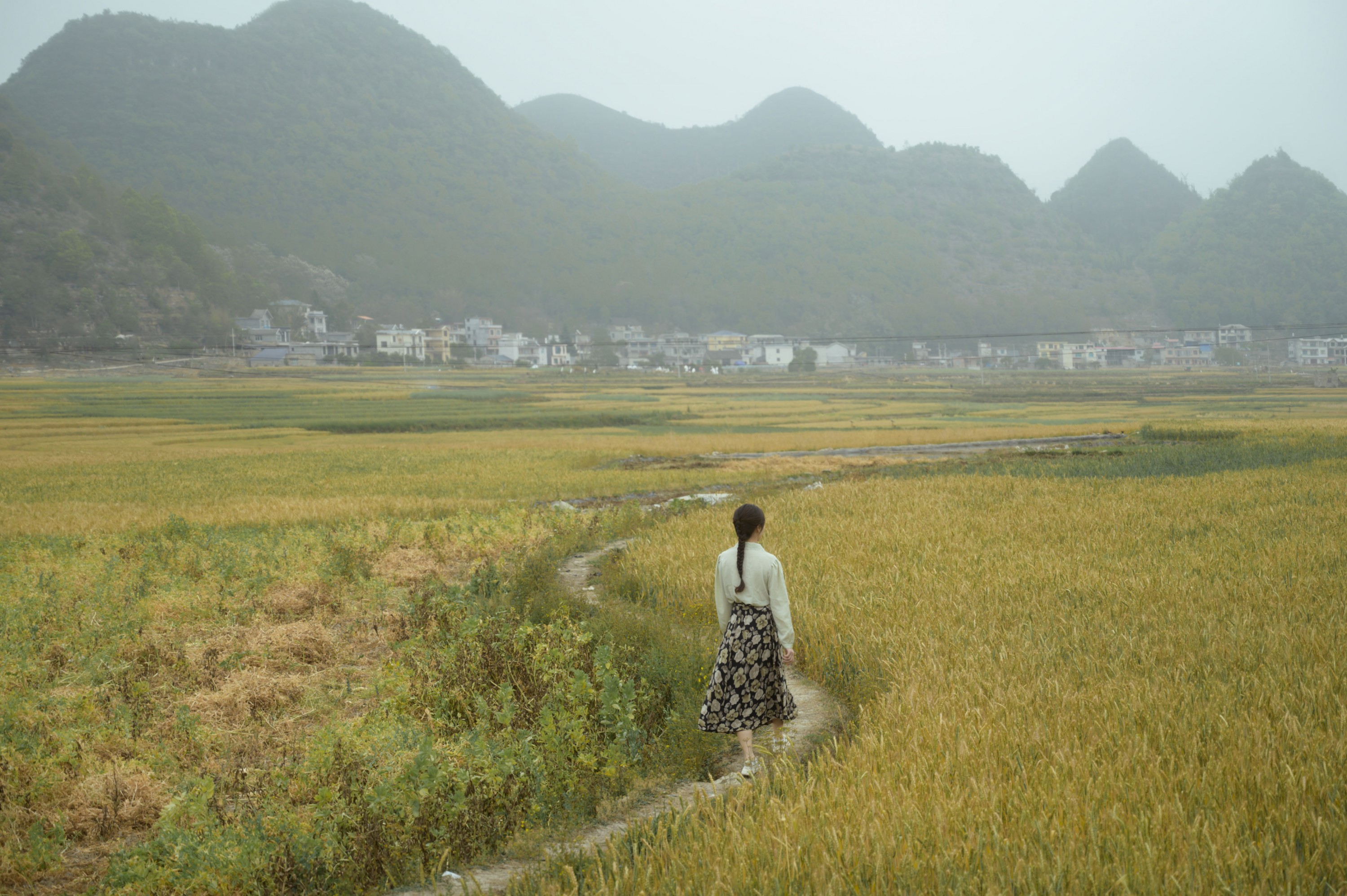 小张 – 《麦田的守望者》[21P] 插图4