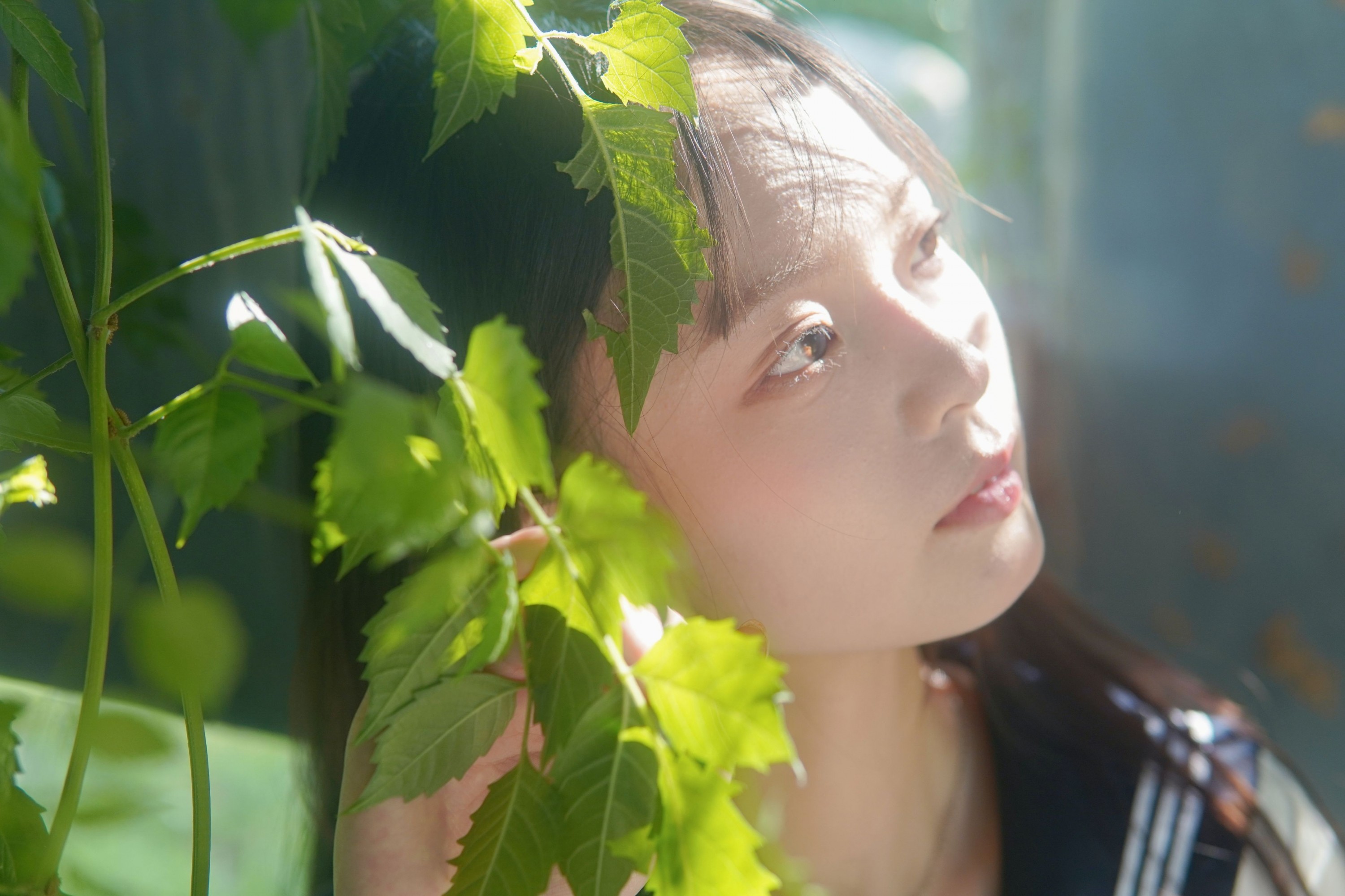 – 《凌霄花开》[12P]-66COS